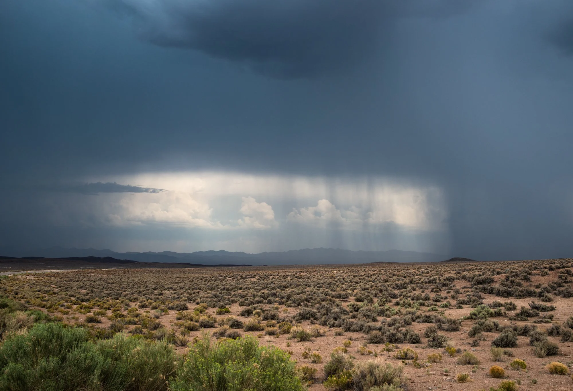area51-2 2.jpg