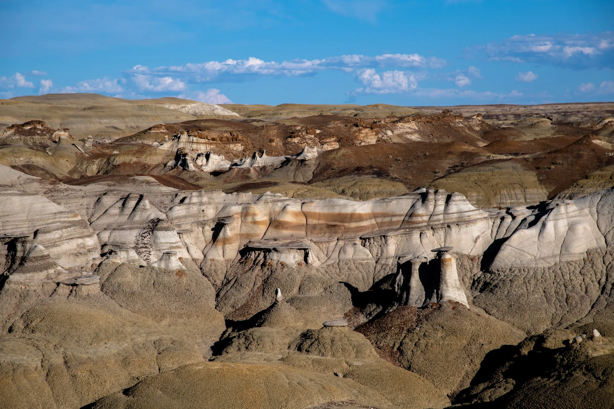 navidbaraty-bisti-1.jpg