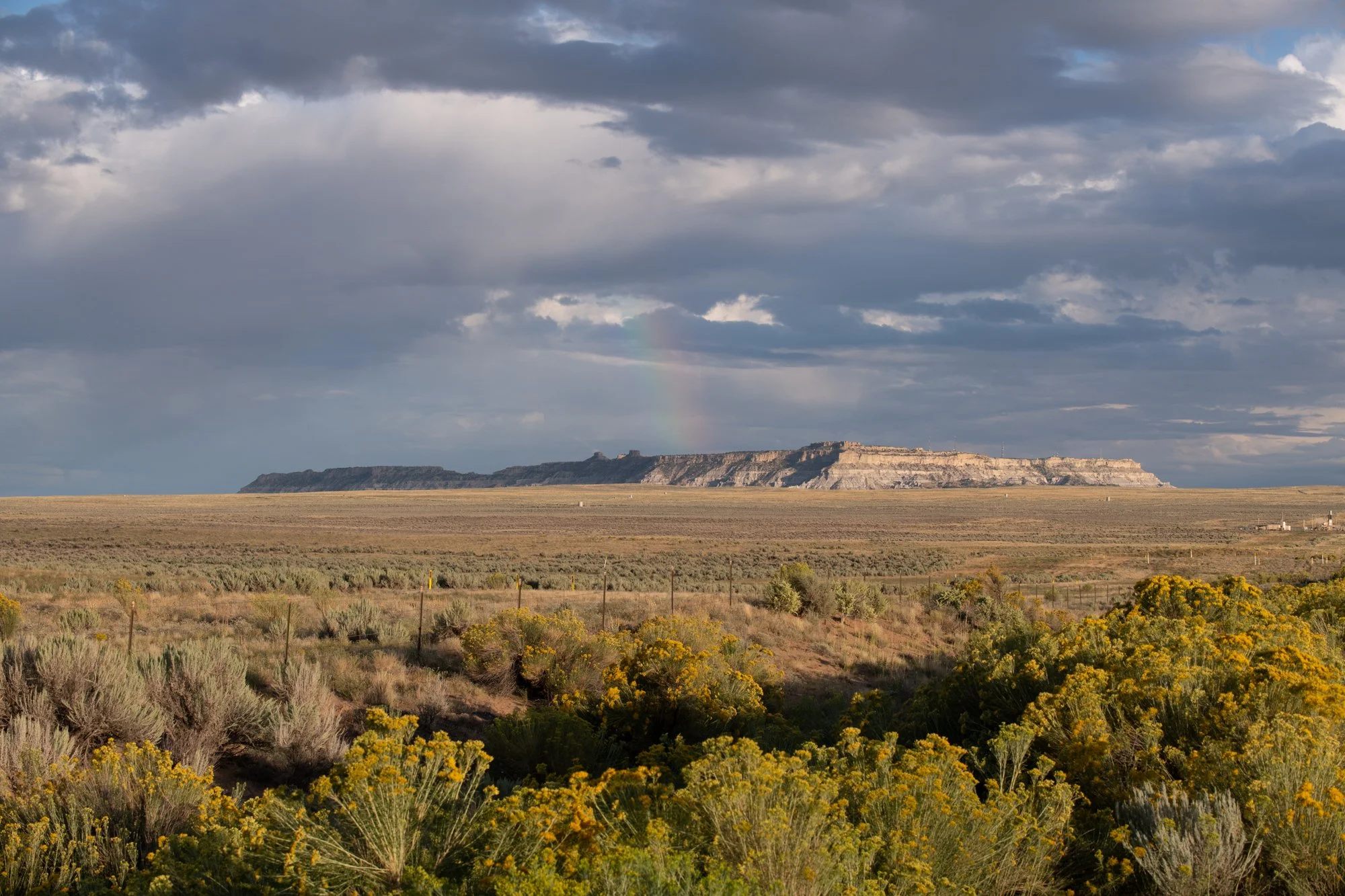 navidbaraty-newmexico-2.jpg