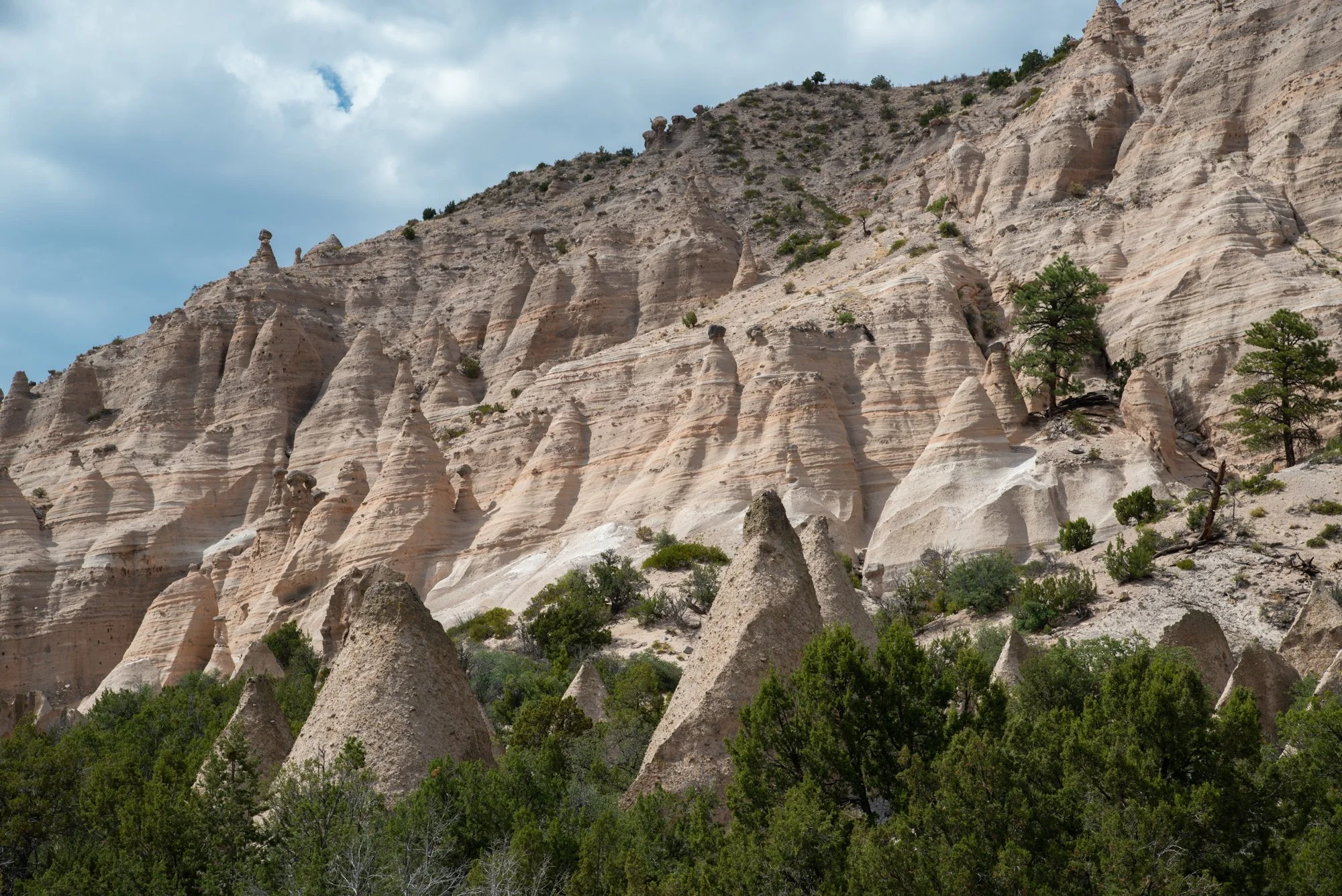 navidbaraty-newmexico-9.jpg