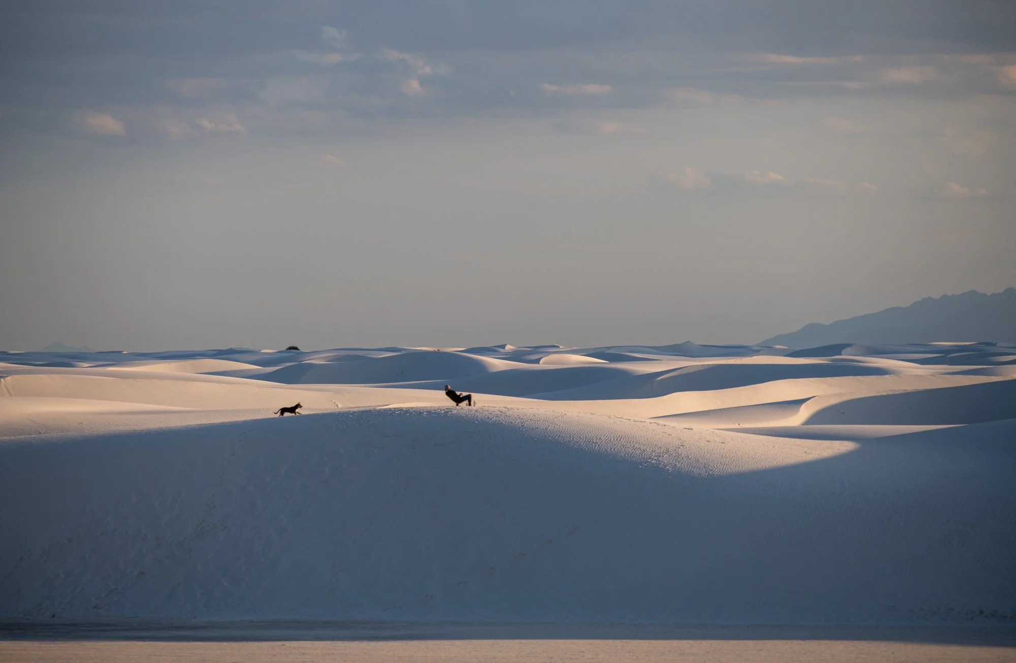 navidbaraty-whitesands-4.jpg