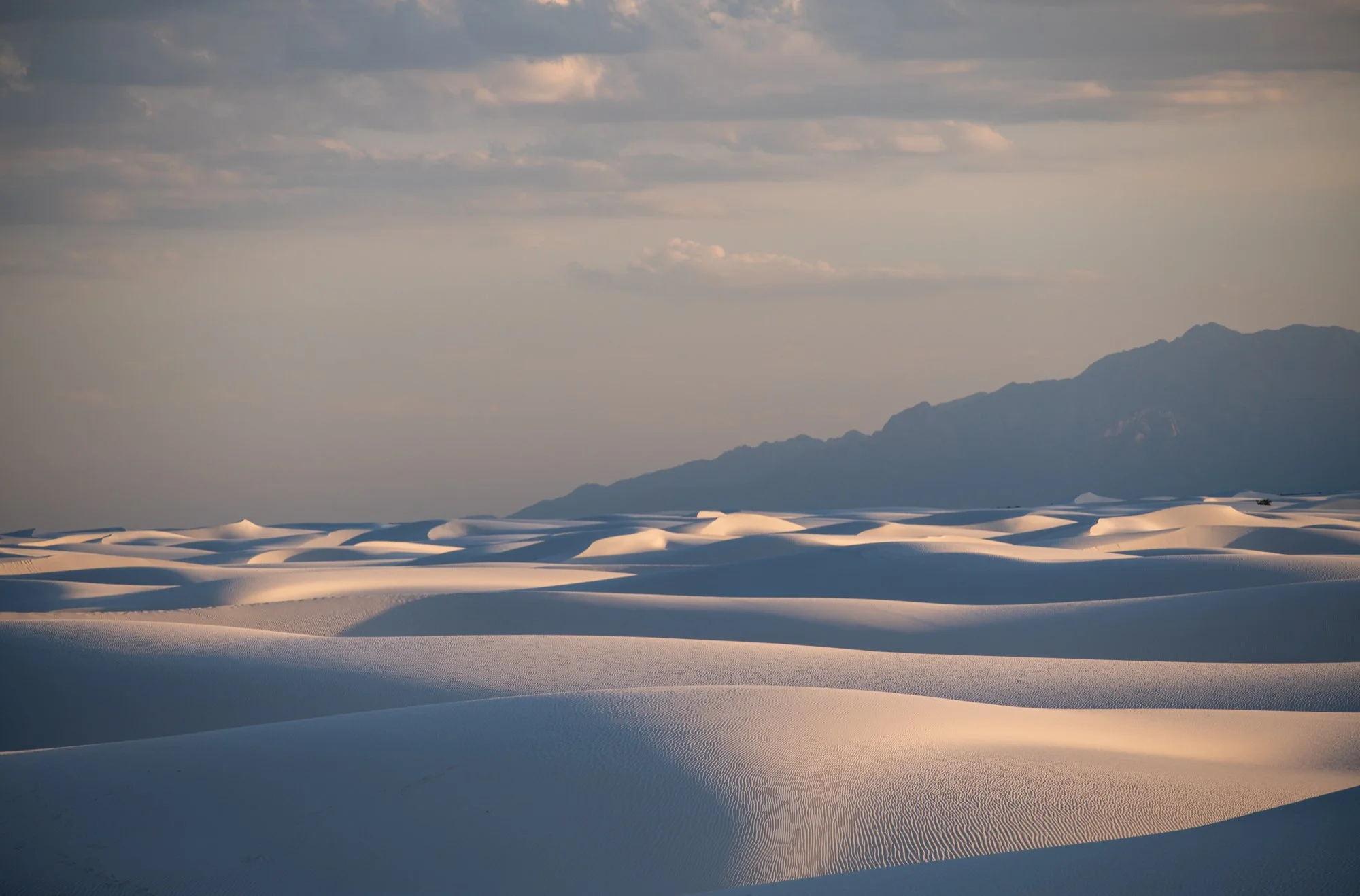 navidbaraty-whitesands-5.jpg