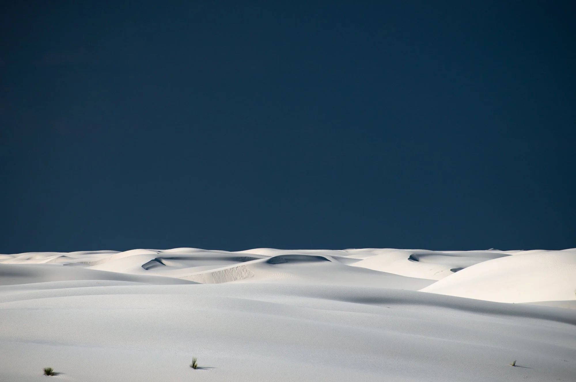 whitesands-1-3 copy.jpg