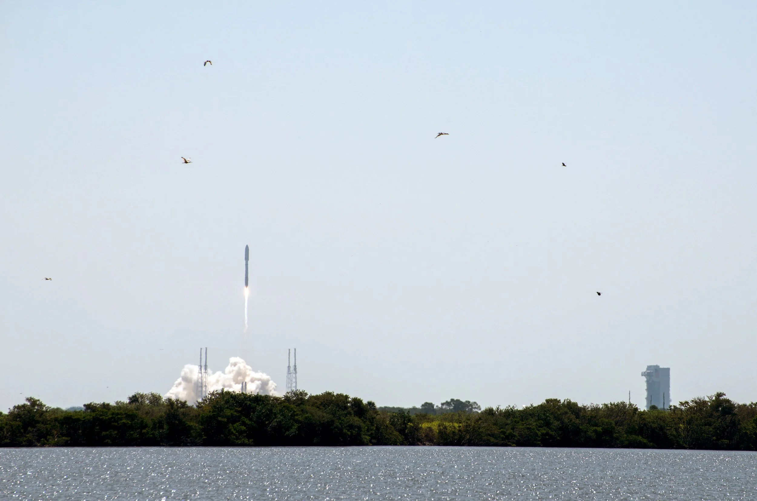 navidbaraty-launch-2.jpg