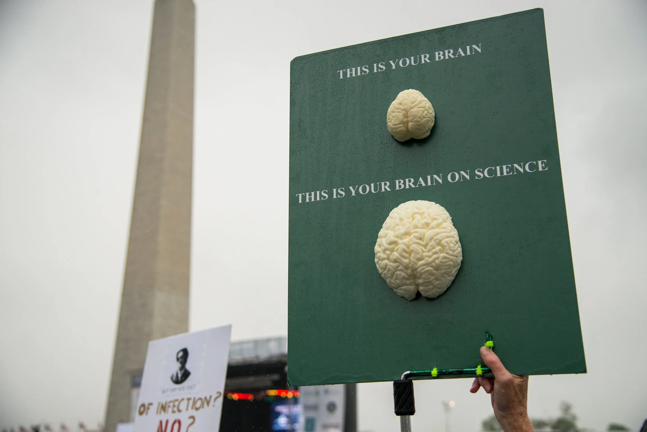 navidbaraty-marchforscience-16.jpg