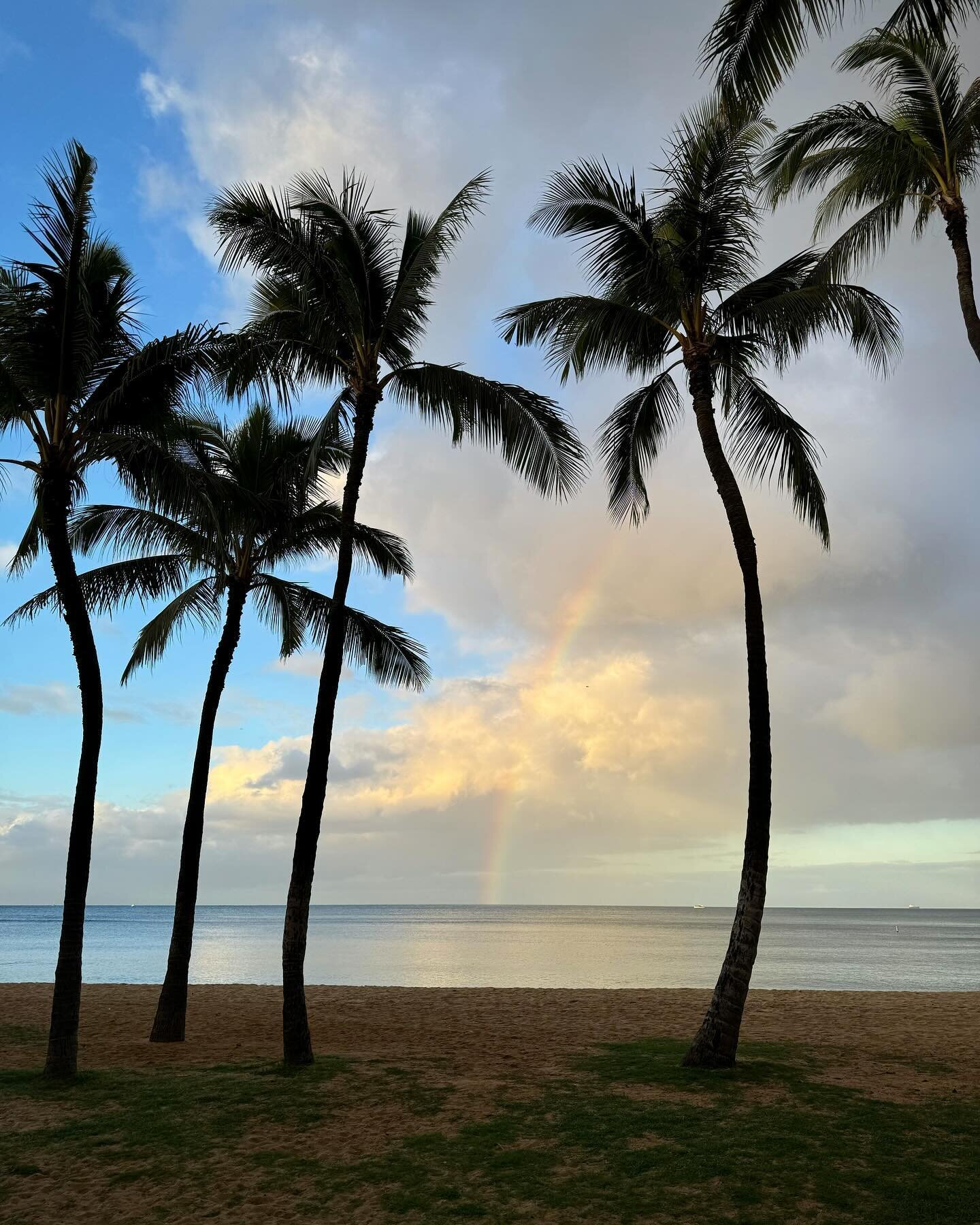 On my walk this morning
.
.
.
#hawaii #honolulu #waikiki #travel #rainbow #islandlife #hawaiistagram #luckywelivehawaii #oahu #shotoniphone