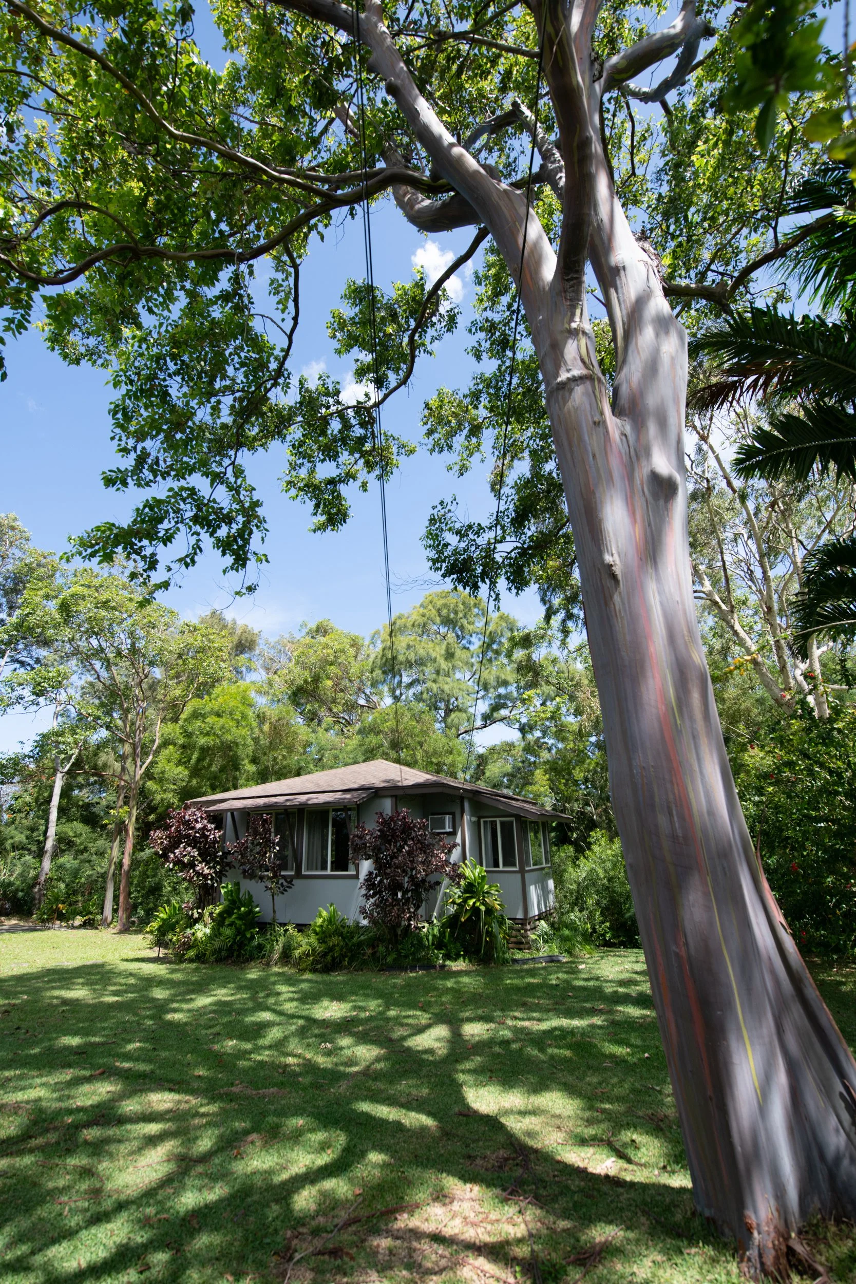 amie-northshore-oahu-116.jpg