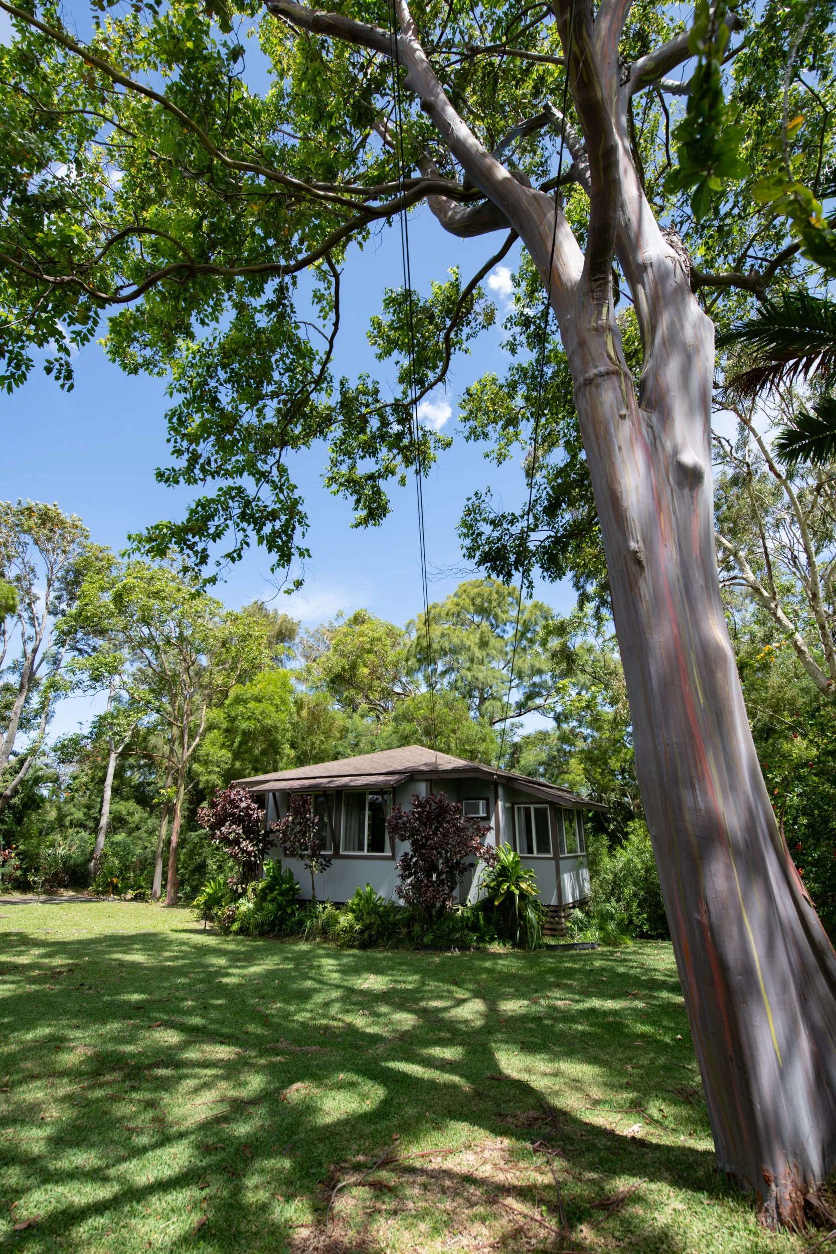 amie-northshore-oahu-117.jpg