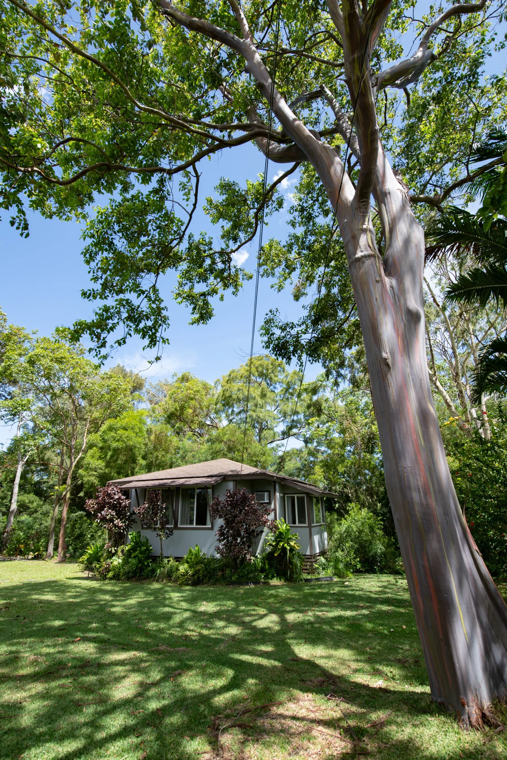 amie-northshore-oahu-118.jpg