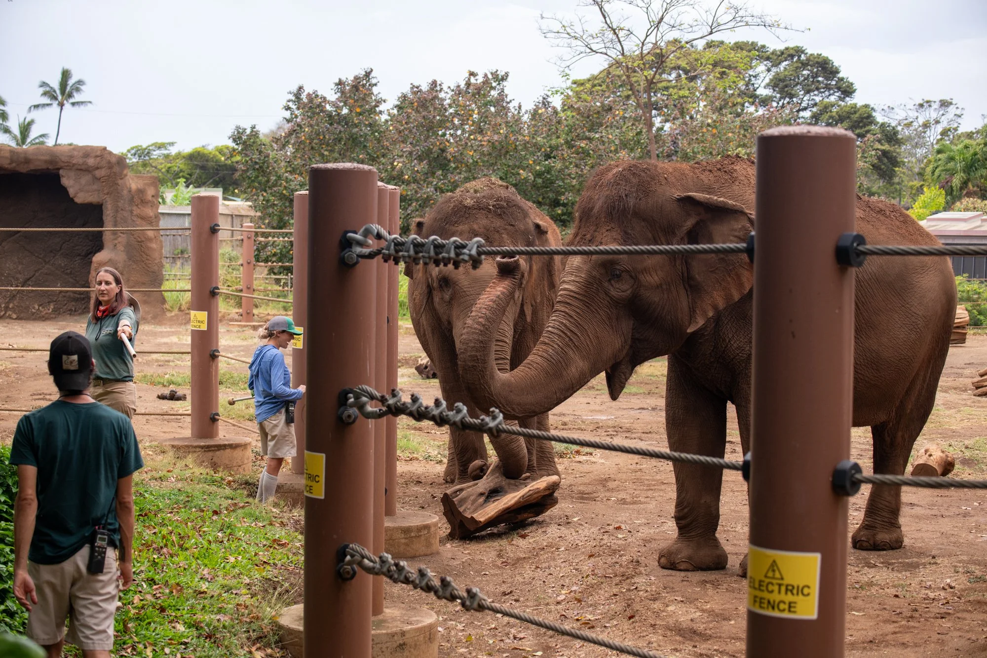 navidbaraty-honolulu-zoo-044.jpg