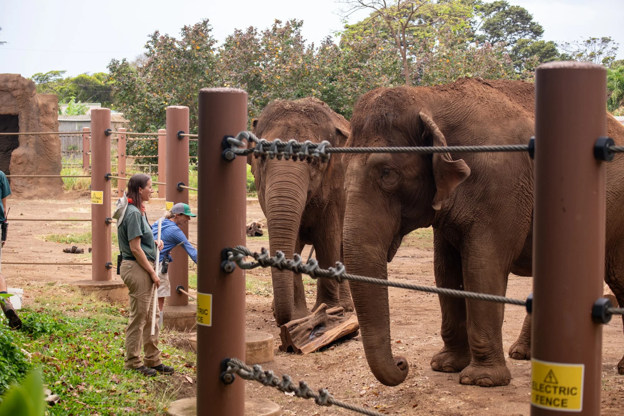 navidbaraty-honolulu-zoo-045.jpg