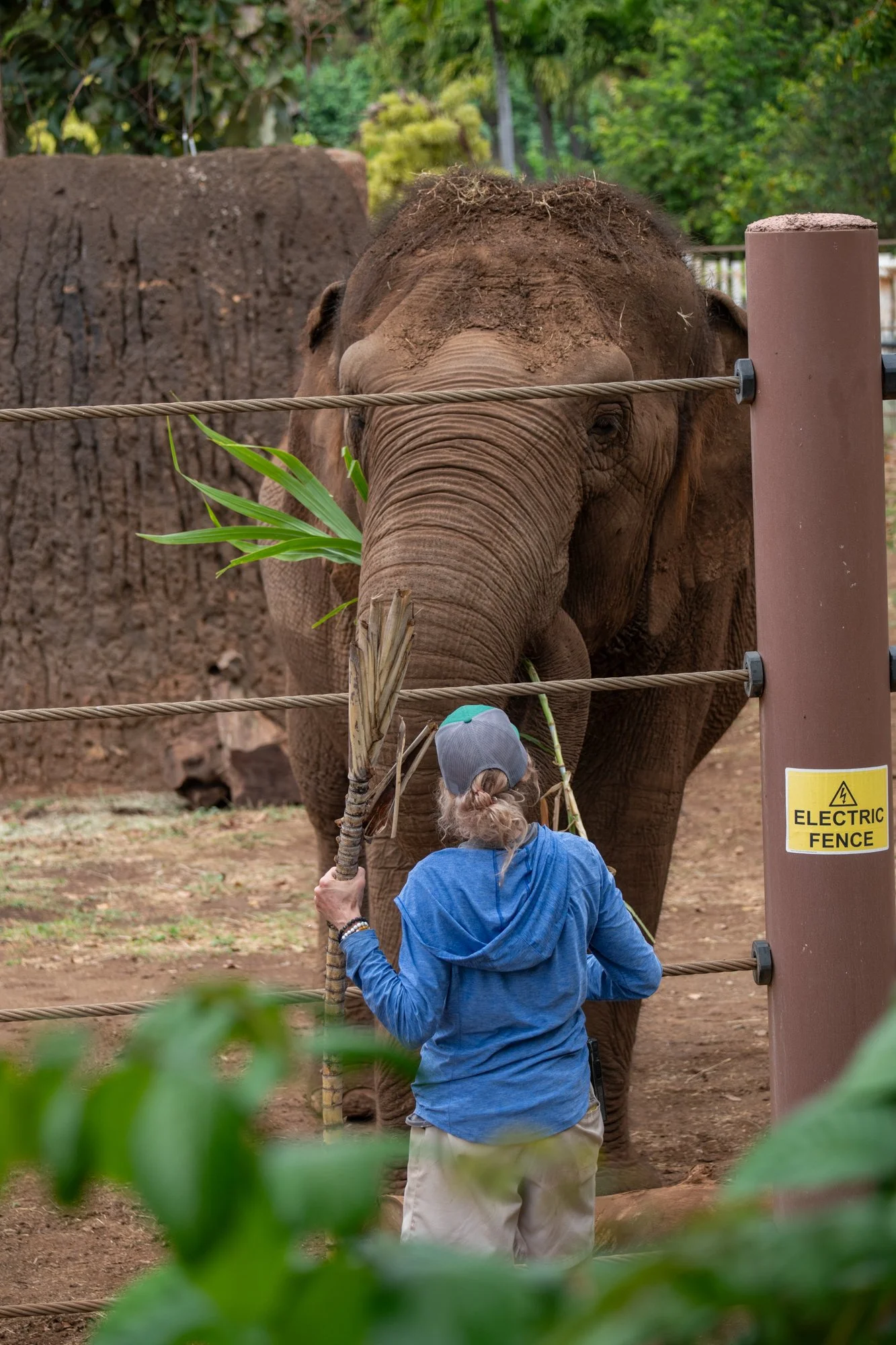 navidbaraty-honolulu-zoo-053.jpg