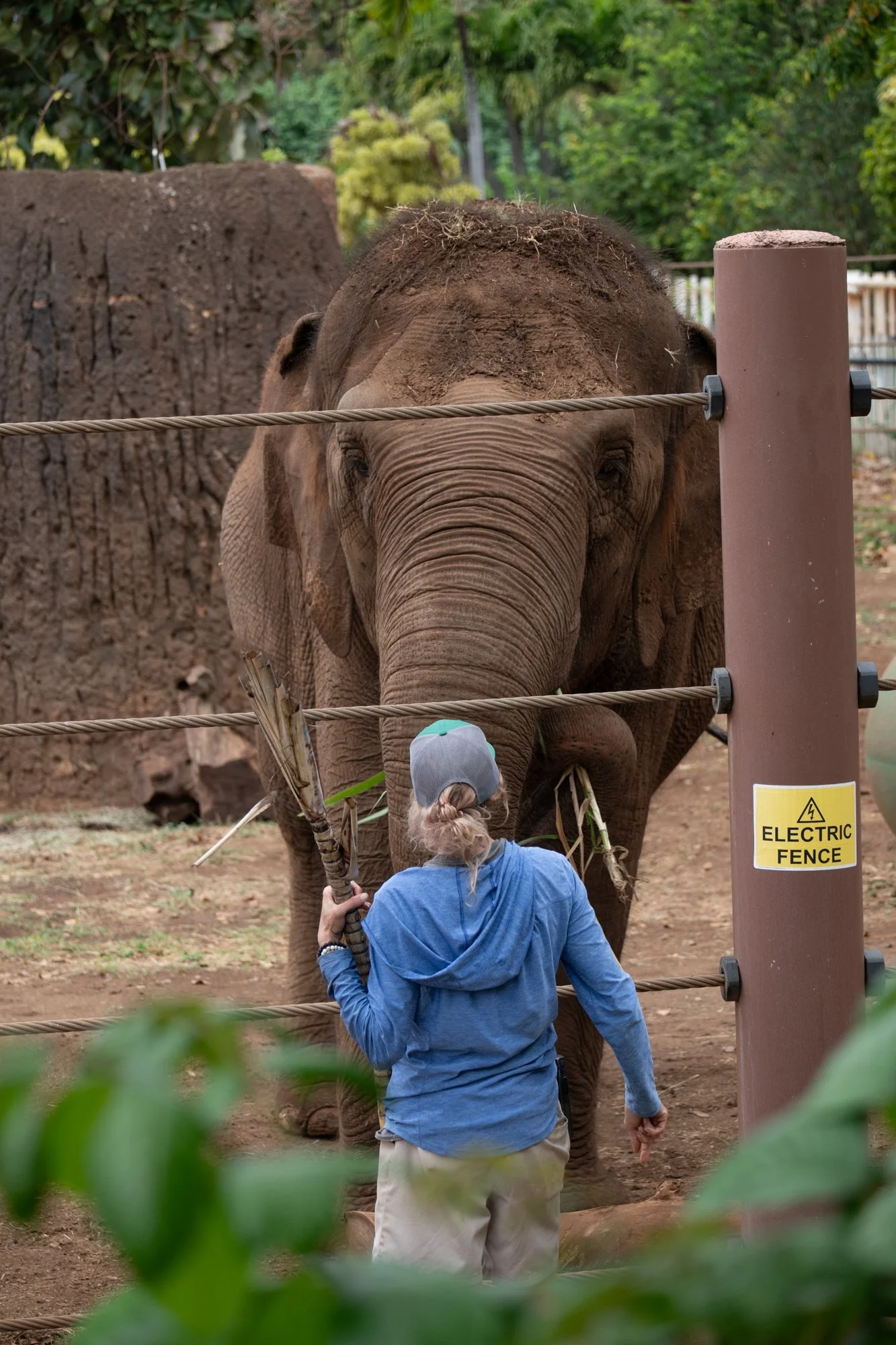 navidbaraty-honolulu-zoo-054.jpg