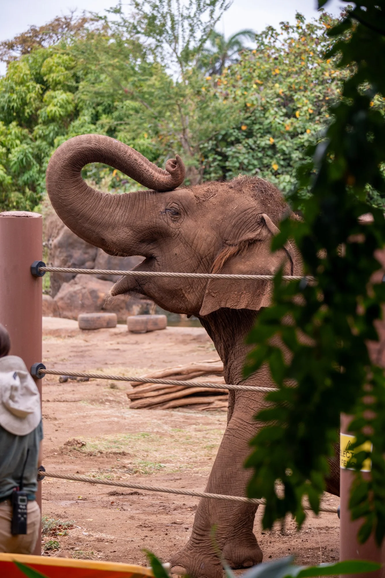 navidbaraty-honolulu-zoo-055.jpg
