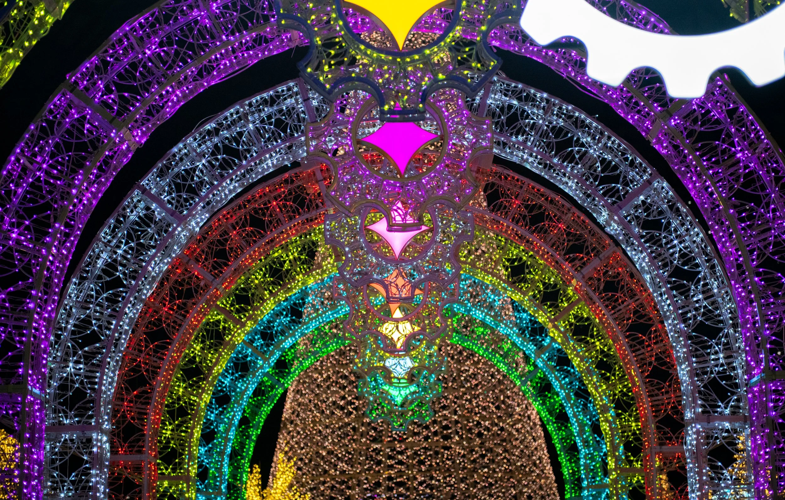 navidbaraty-enchant-226.jpg