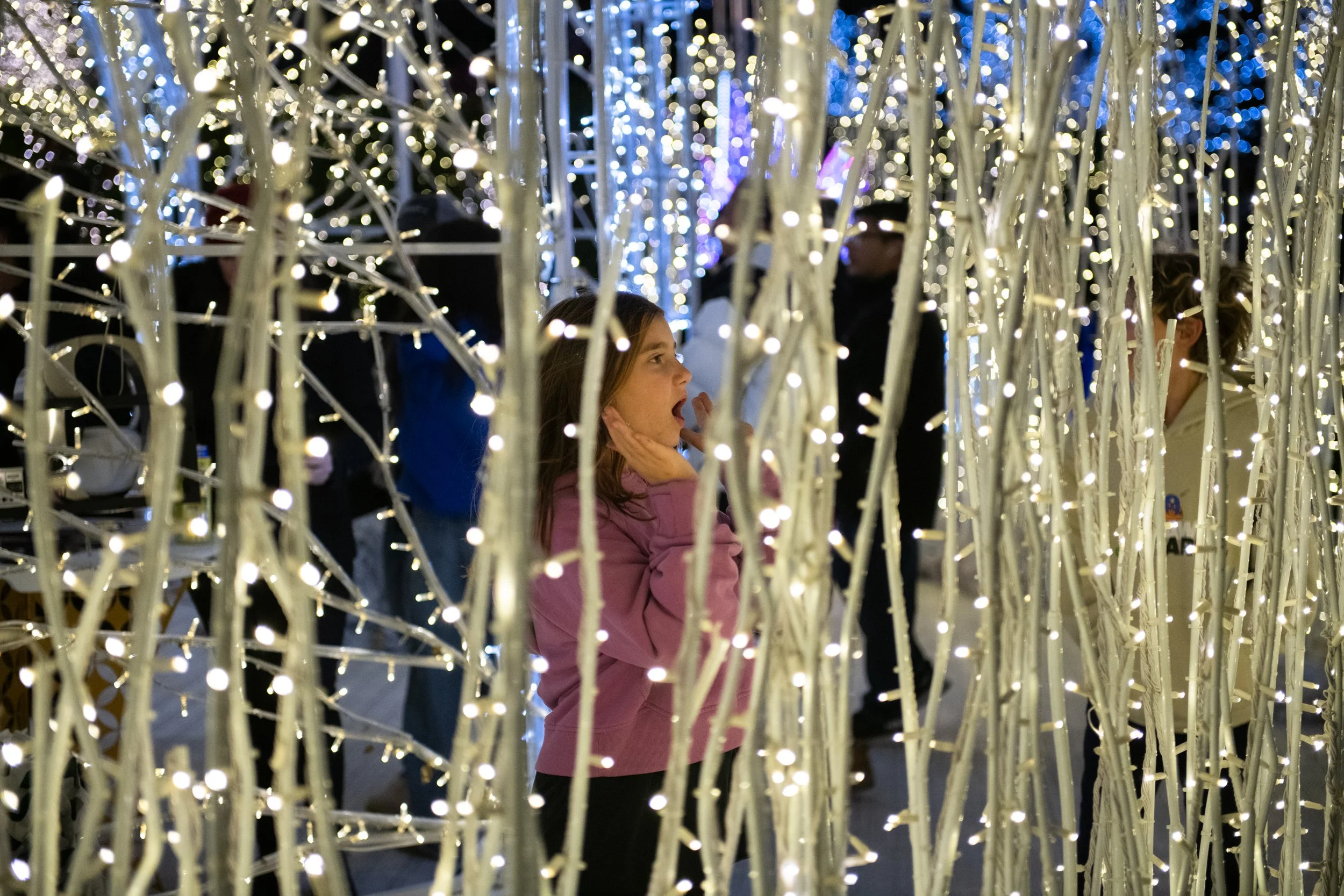 navidbaraty-enchant-231.jpg