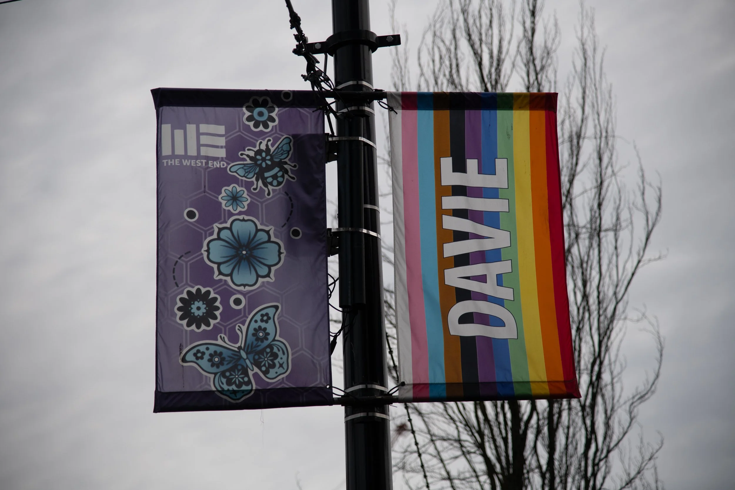 brandymars-davie-014.jpg