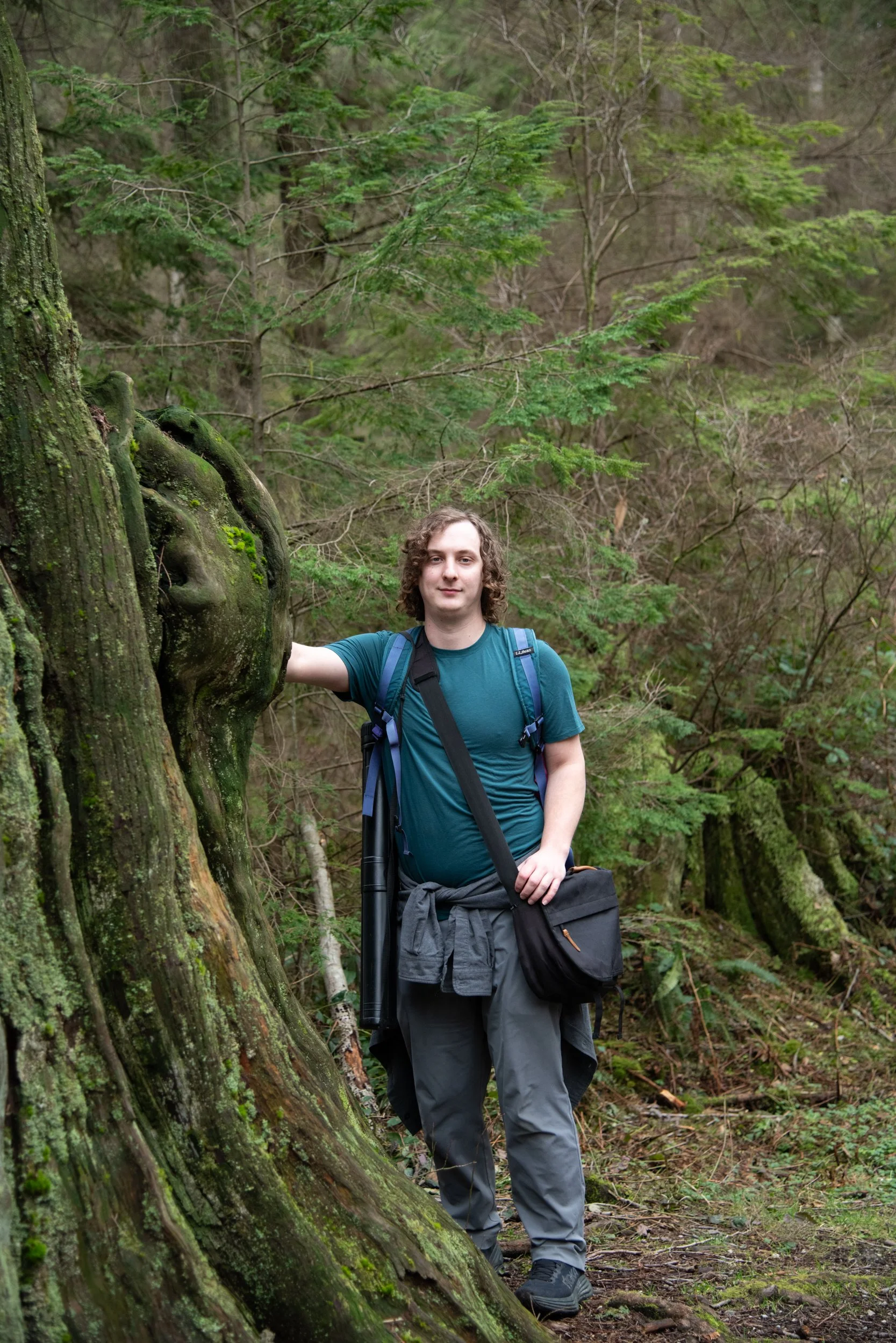 colin-ancient-trees-017.jpg