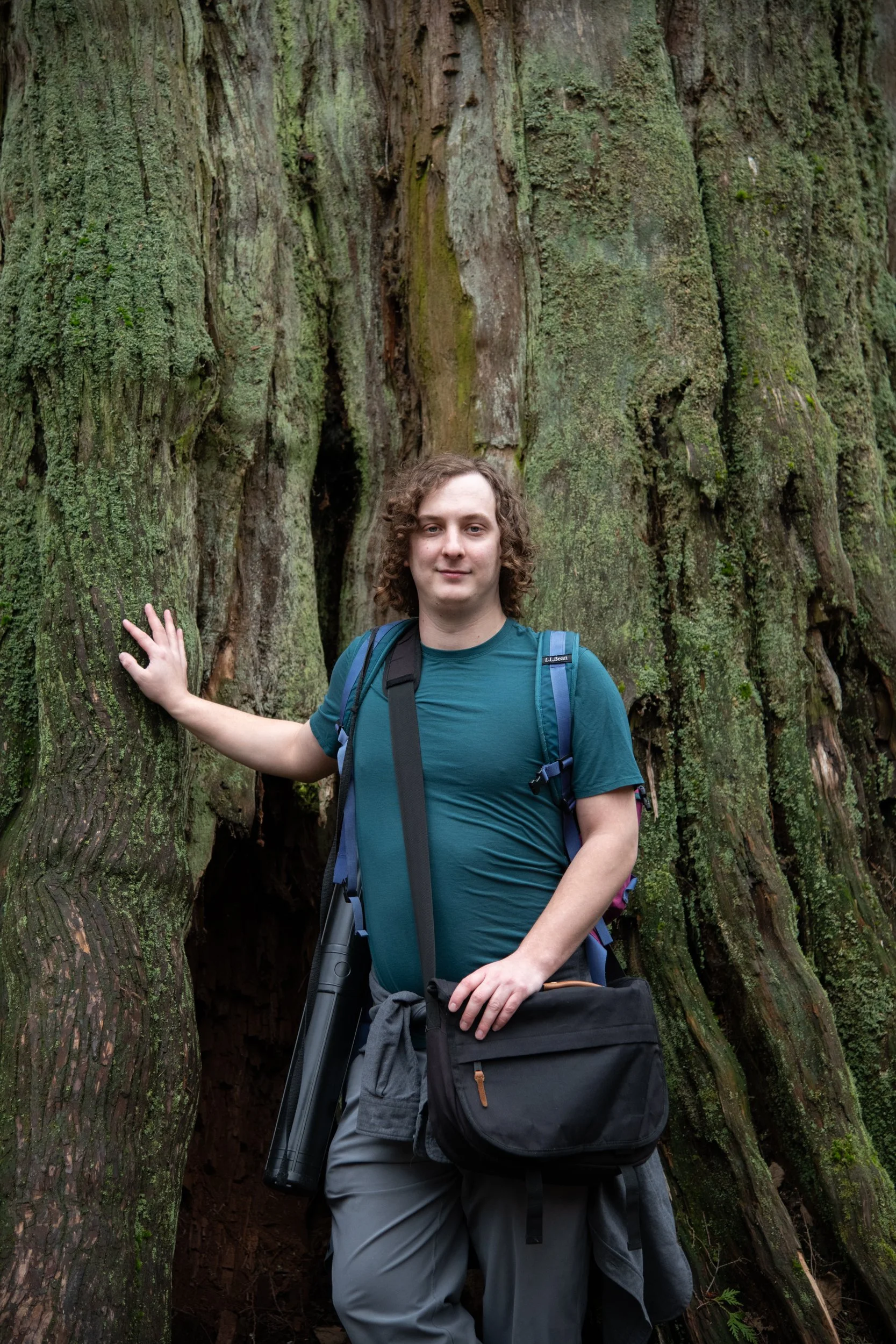 colin-ancient-trees-022.jpg