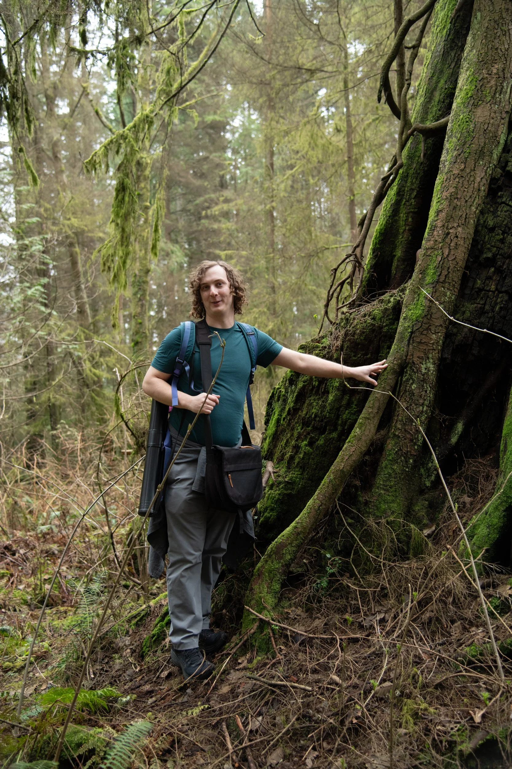 colin-ancient-trees-035.jpg