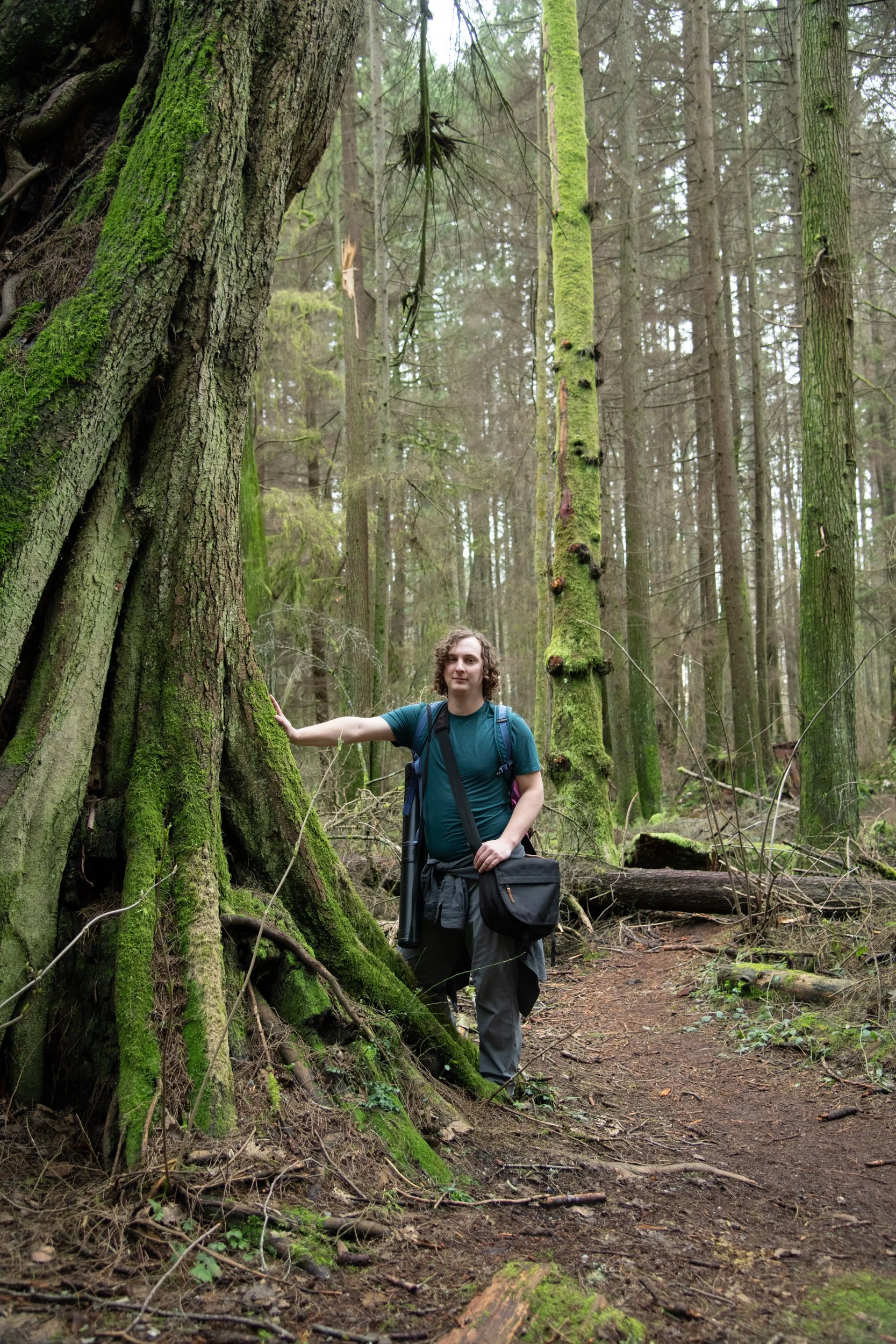 colin-ancient-trees-039.jpg