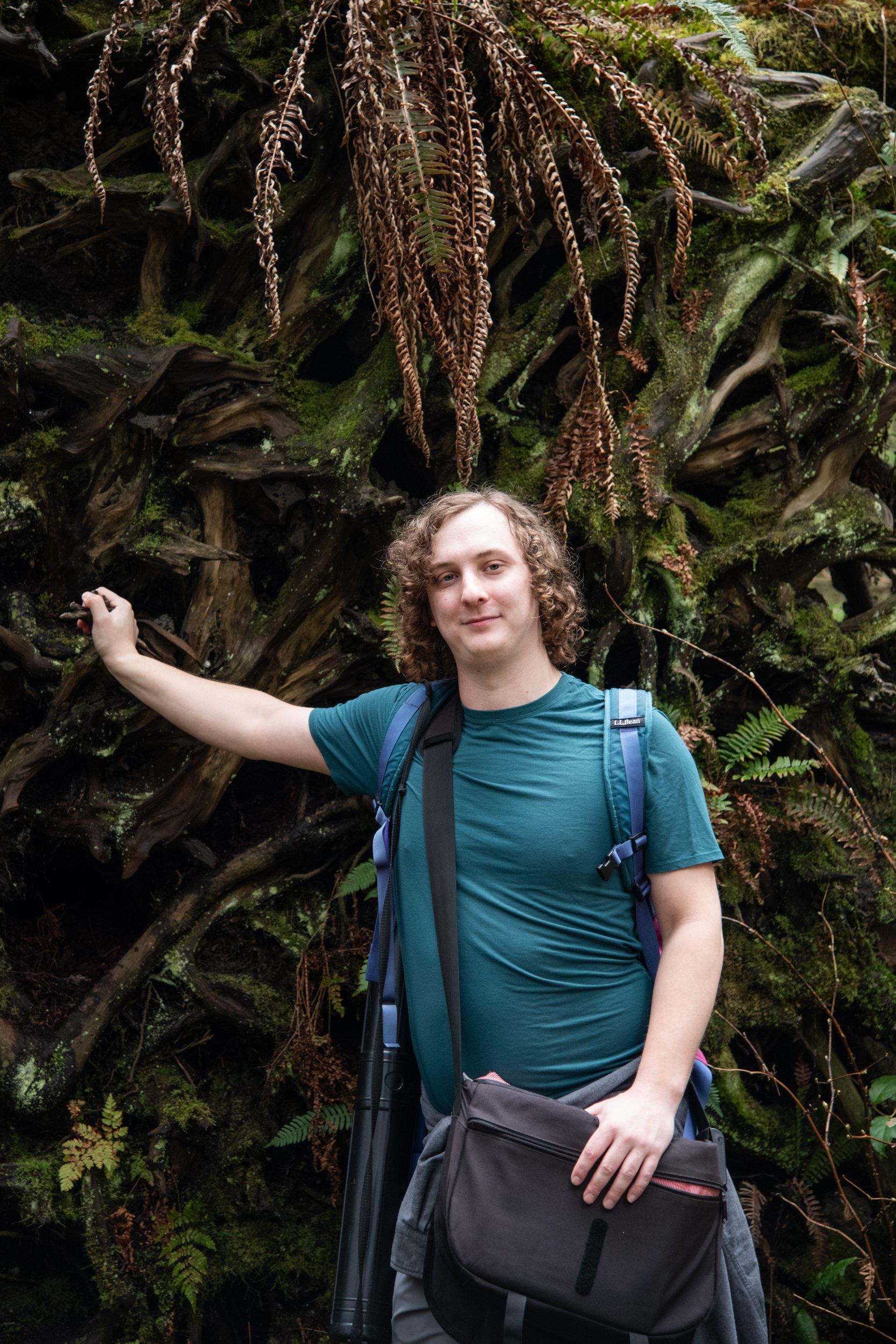 colin-ancient-trees-073.jpg
