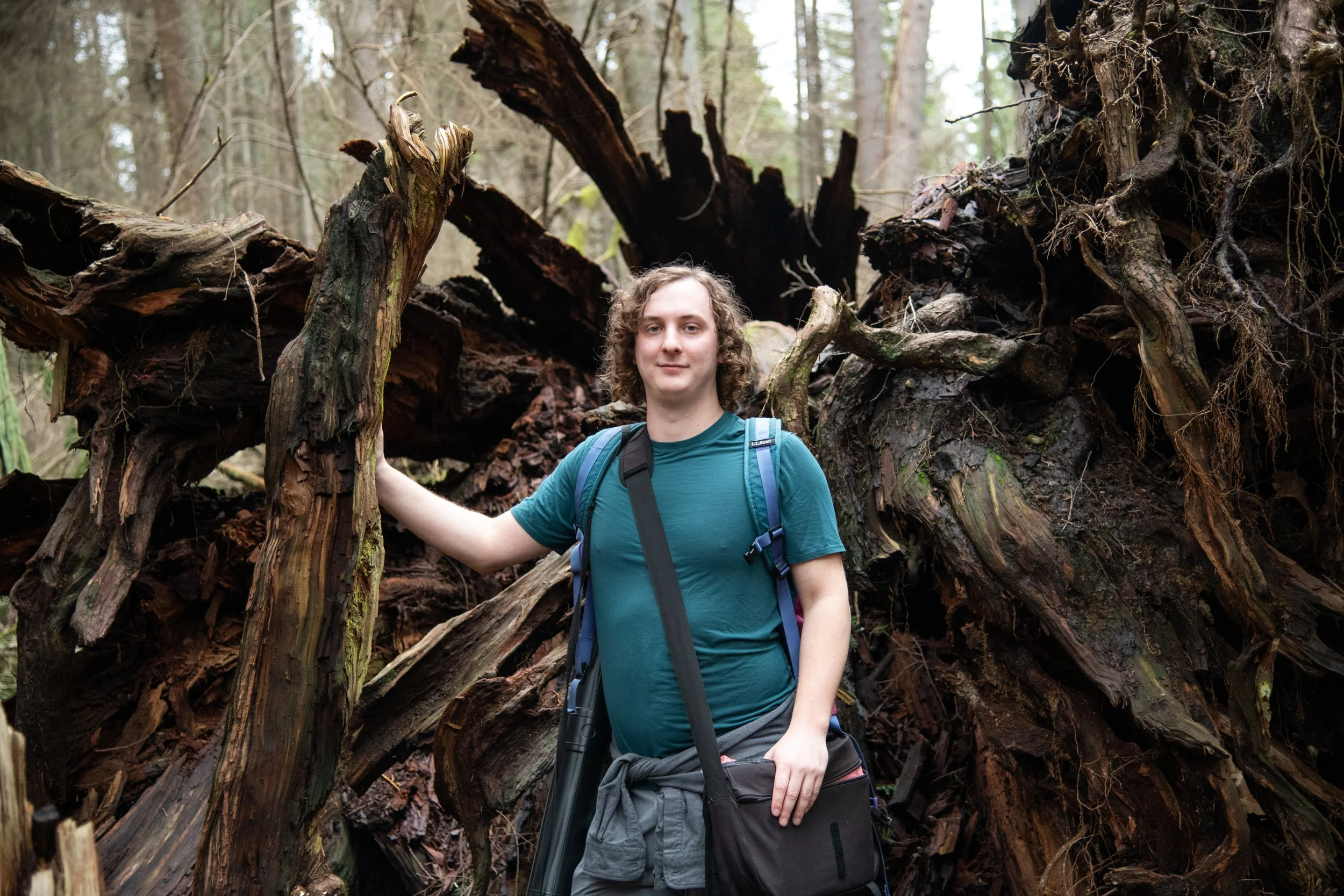 colin-ancient-trees-091.jpg