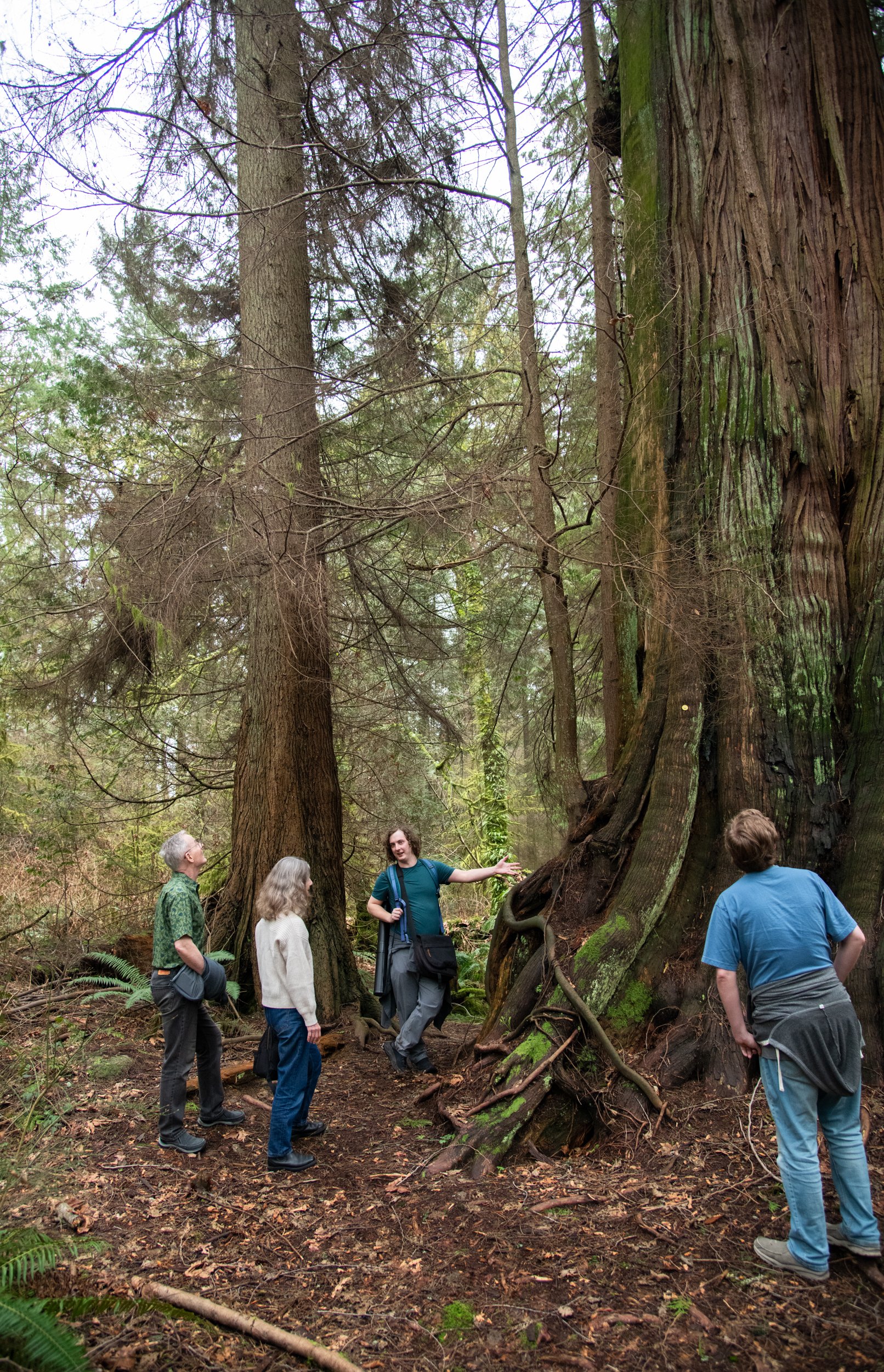 colin-ancient-trees-112.jpg