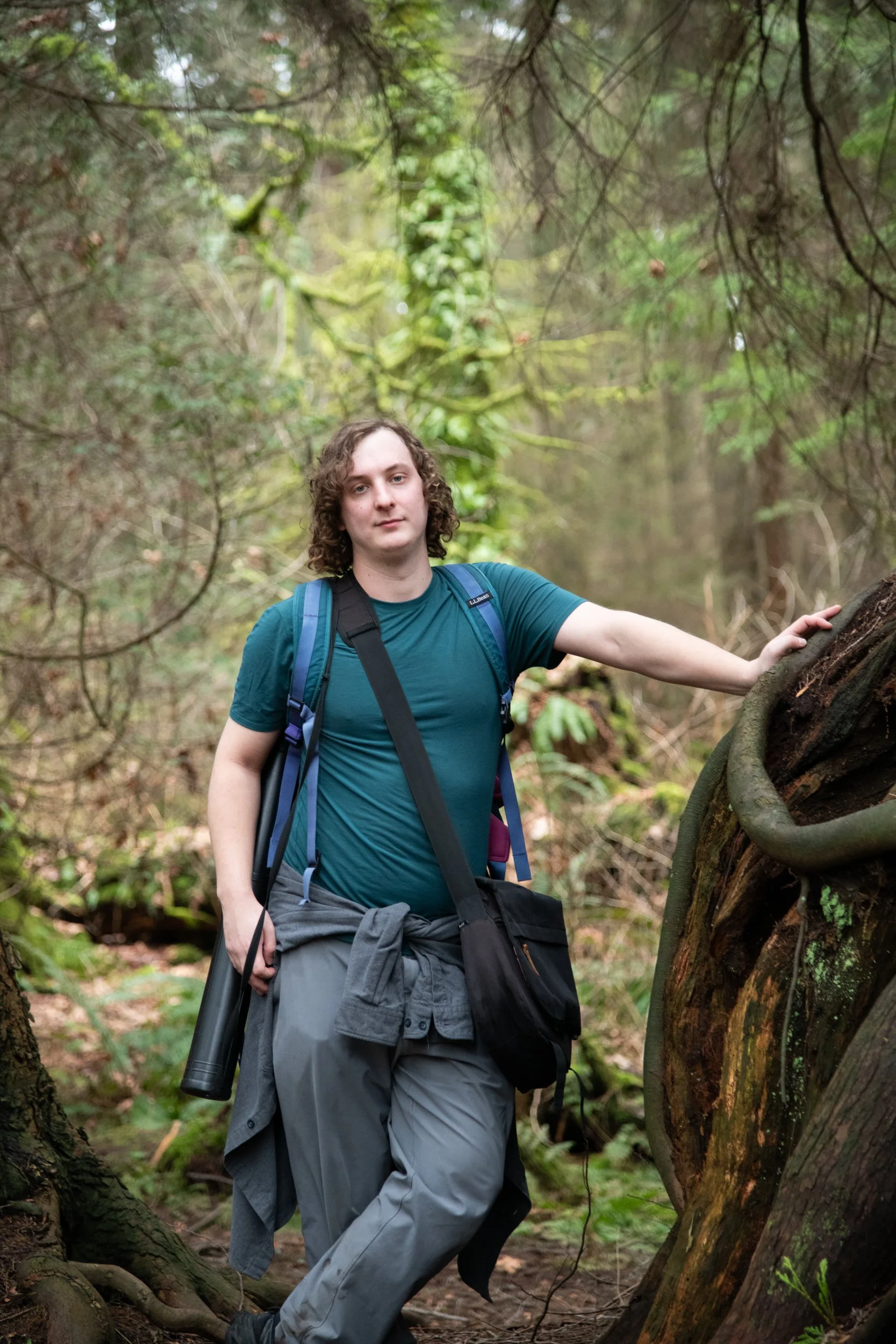 colin-ancient-trees-115.jpg