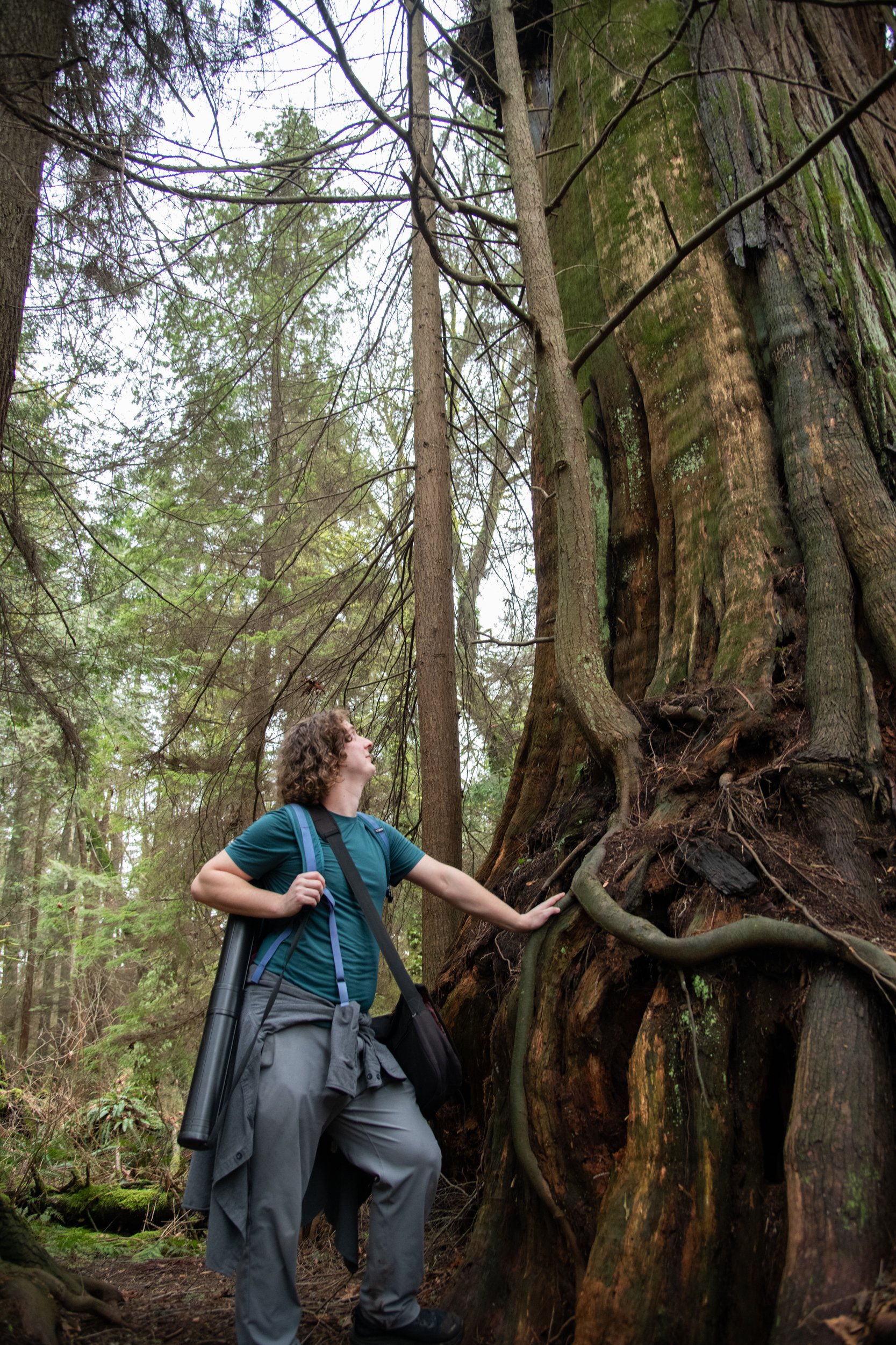 colin-ancient-trees-119.jpg