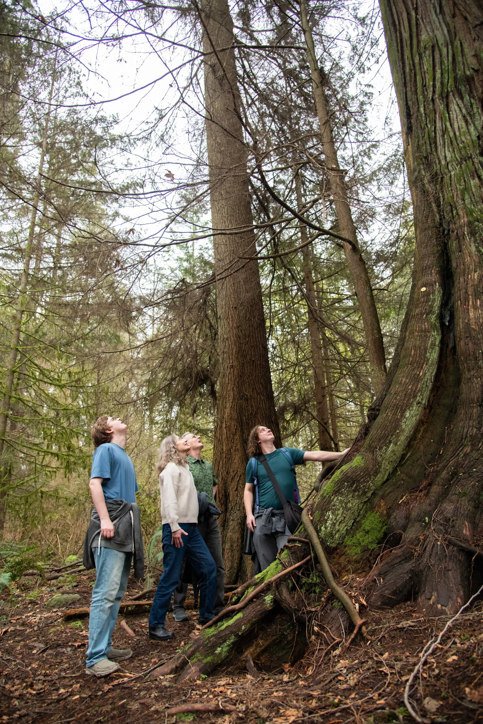 colin-ancient-trees-122.jpg