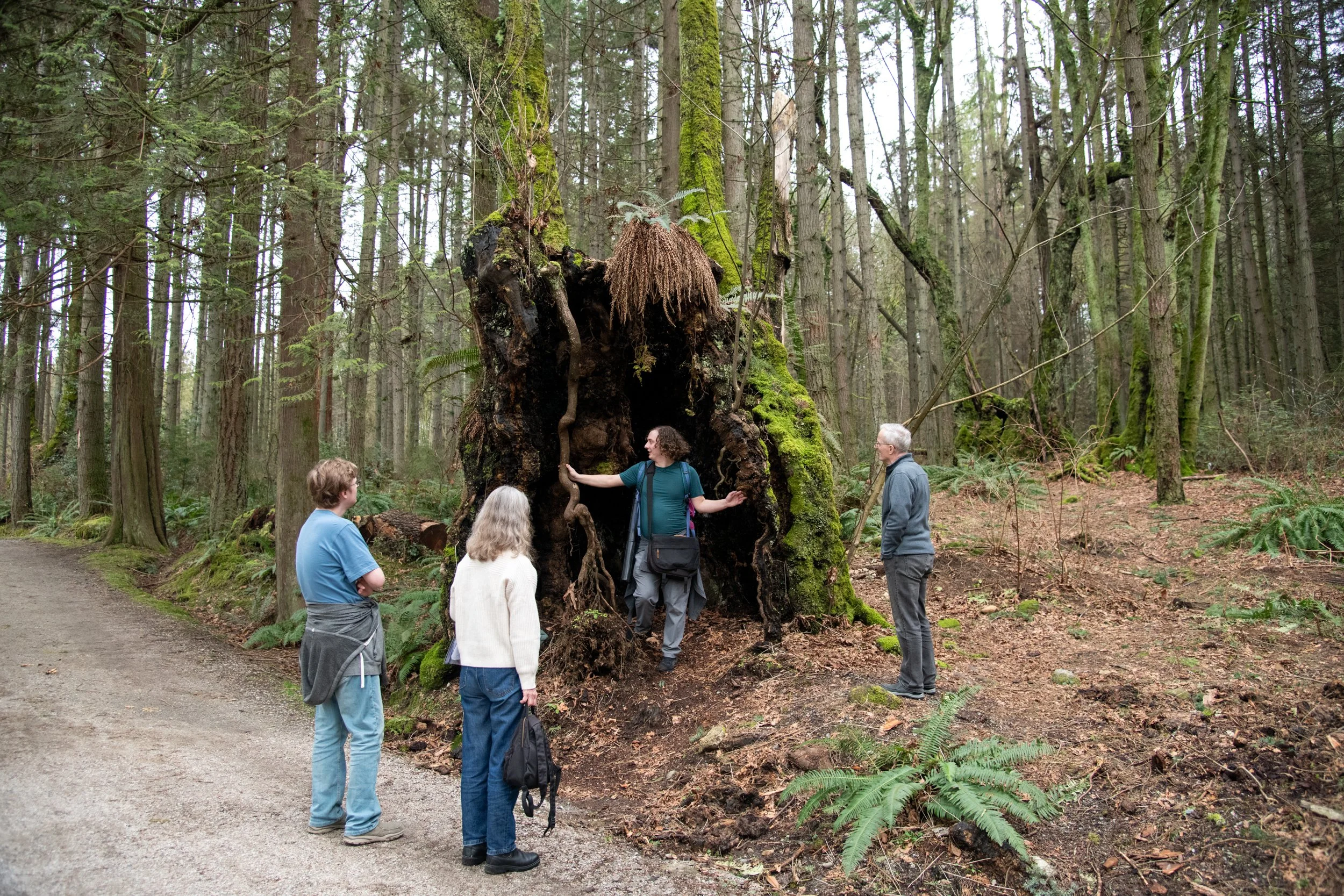 colin-ancient-trees-136.jpg