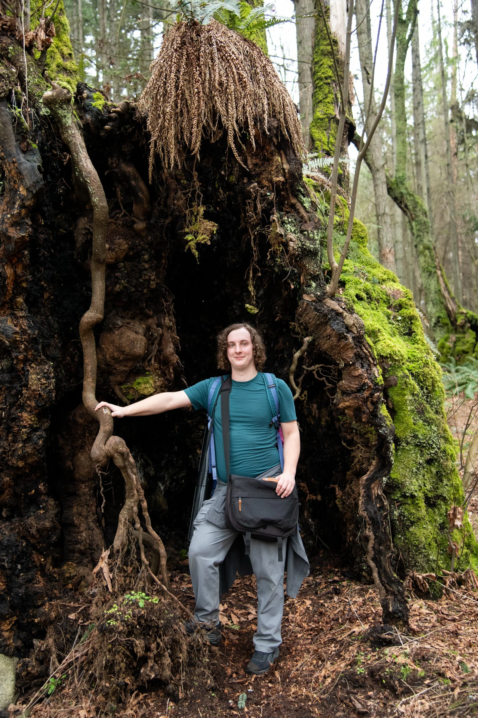 colin-ancient-trees-142.jpg