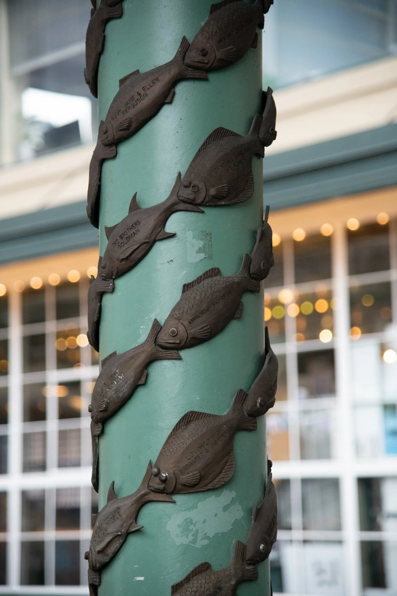 caela-pikeplacemarket-045.jpg