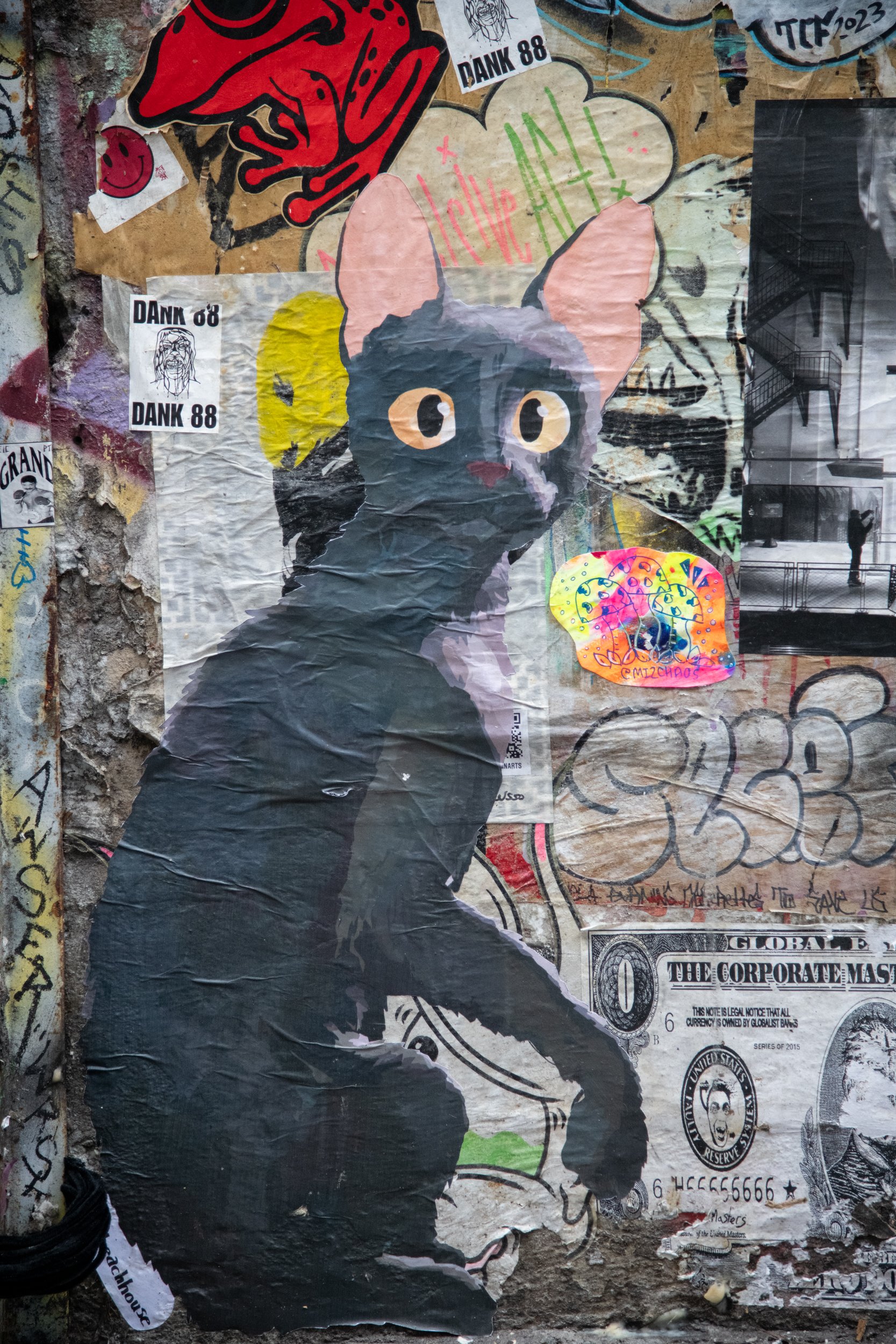 caela-pikeplacemarket-094.jpg