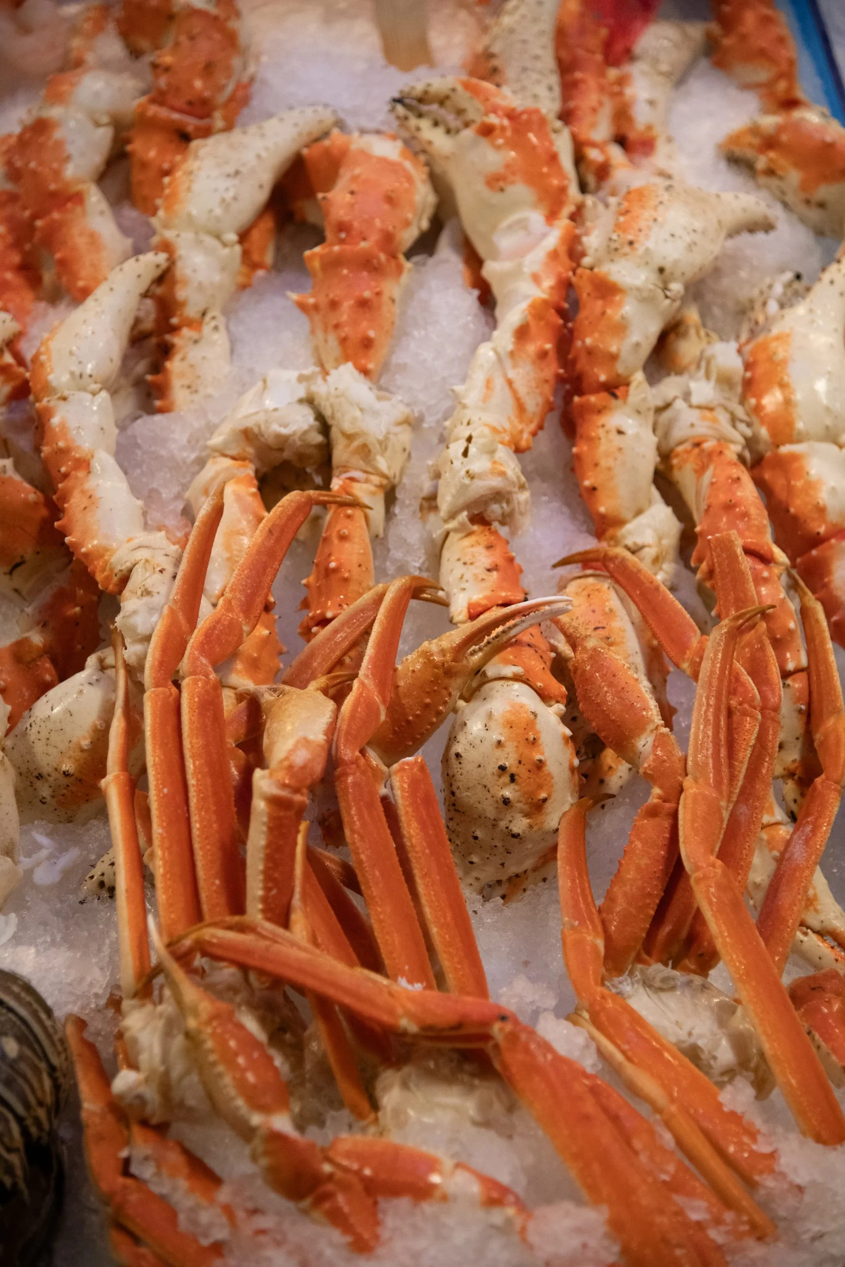 caela-pikeplacemarket-146.jpg