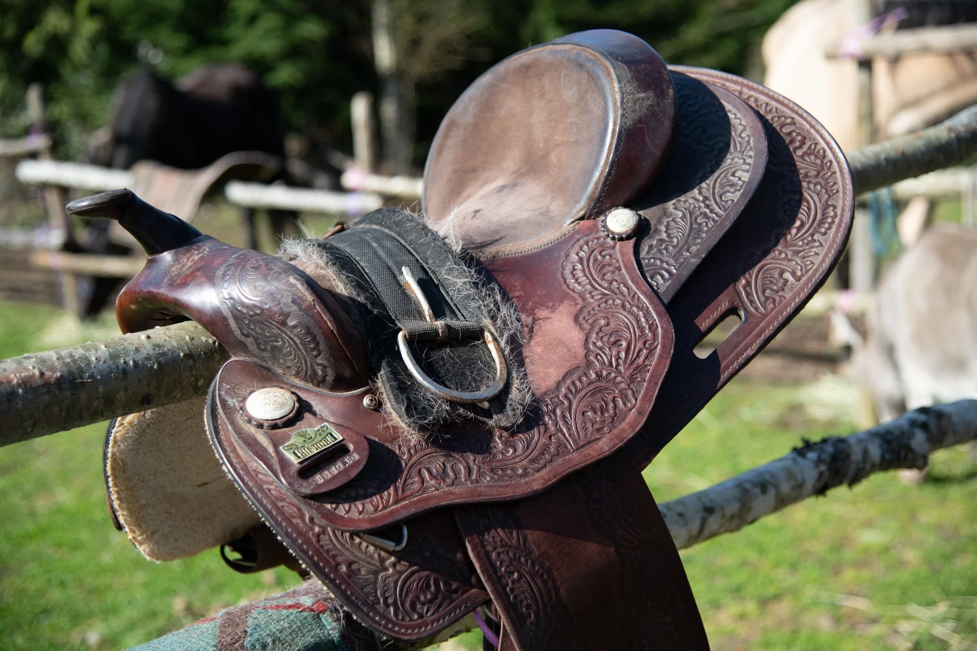 mapleheartranch-riding-065.jpg