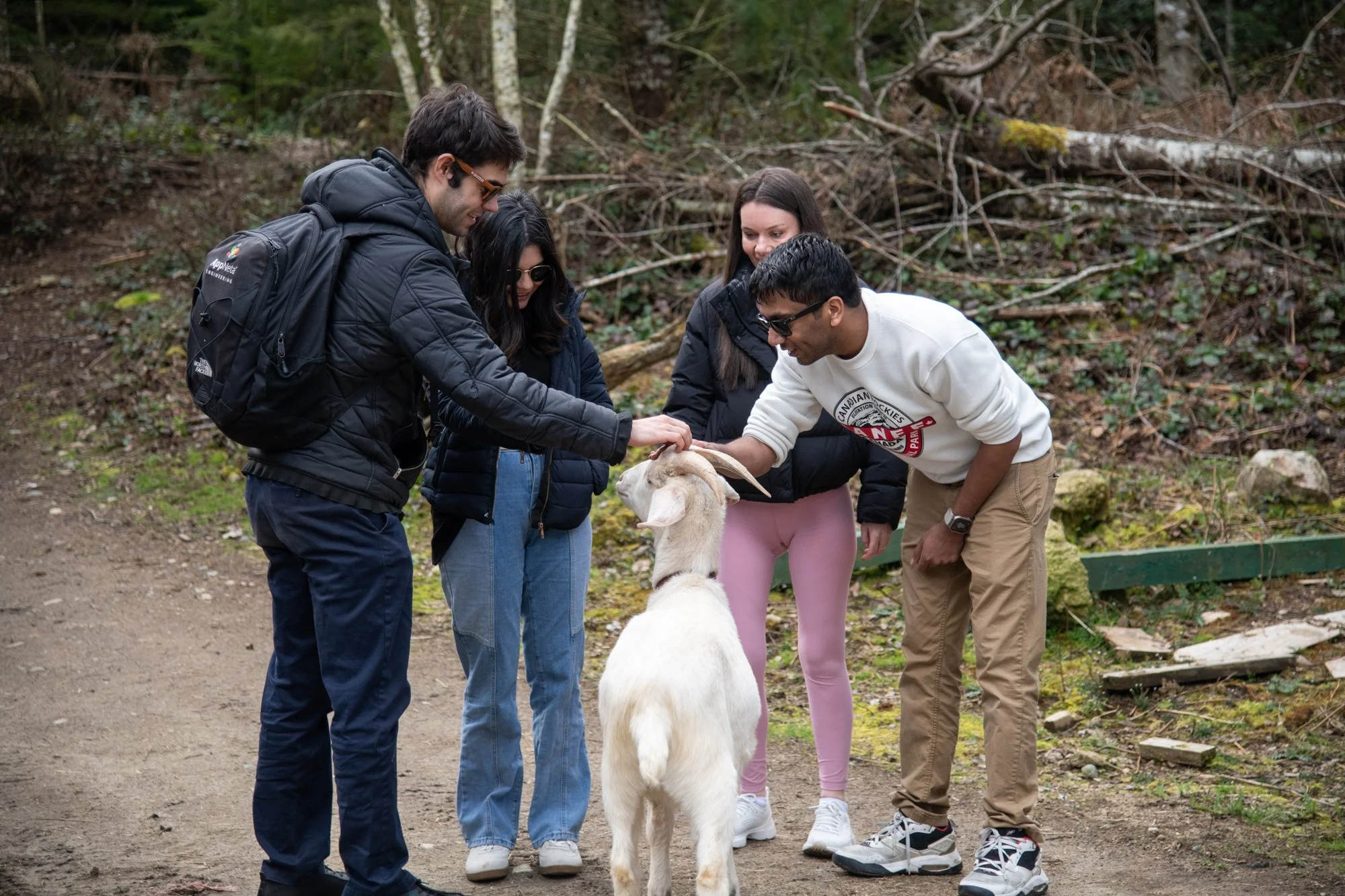 mapleheartranch-goats-003.jpg