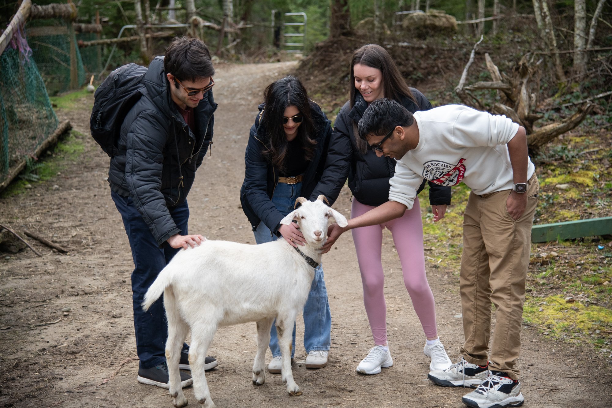 mapleheartranch-goats-004.jpg