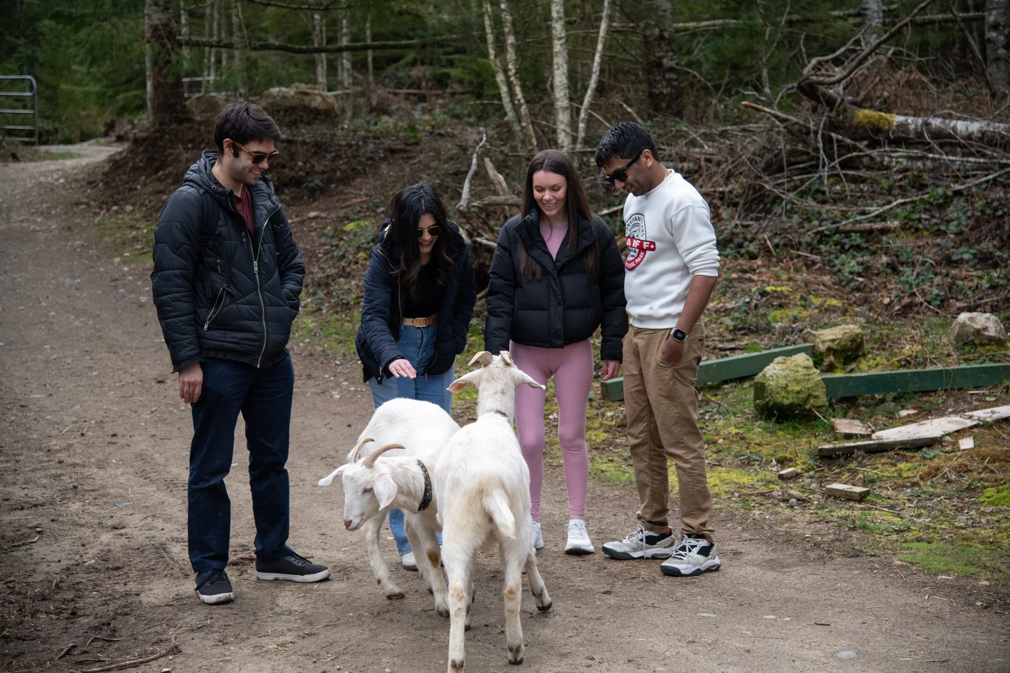 mapleheartranch-goats-005.jpg