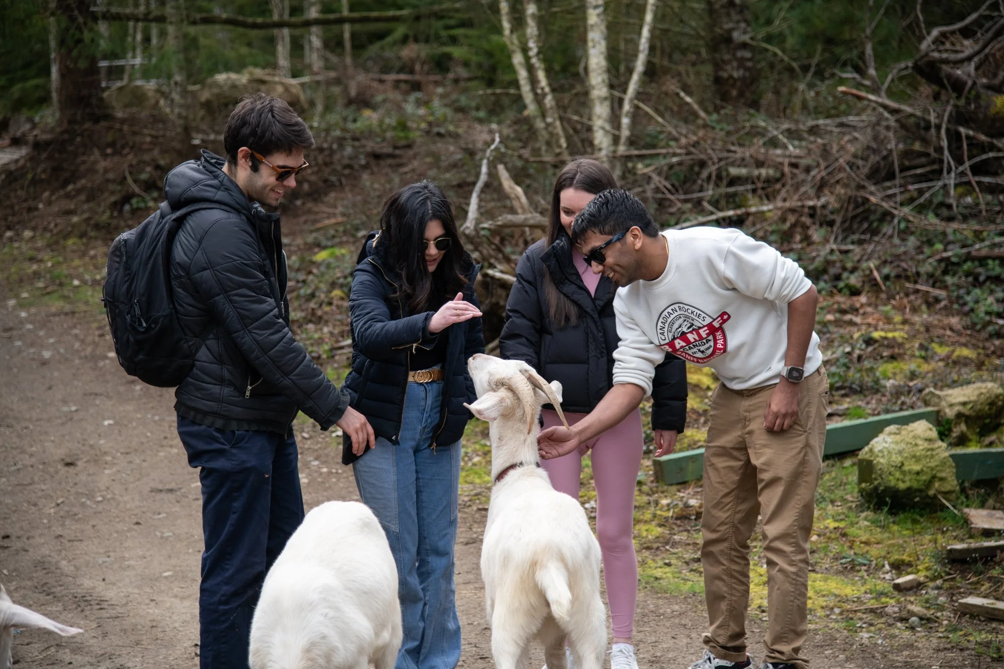 mapleheartranch-goats-006.jpg