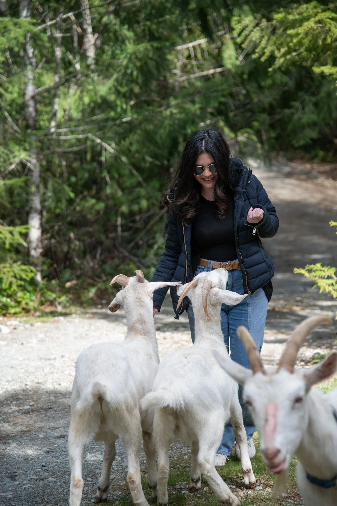 mapleheartranch-goats-024.jpg