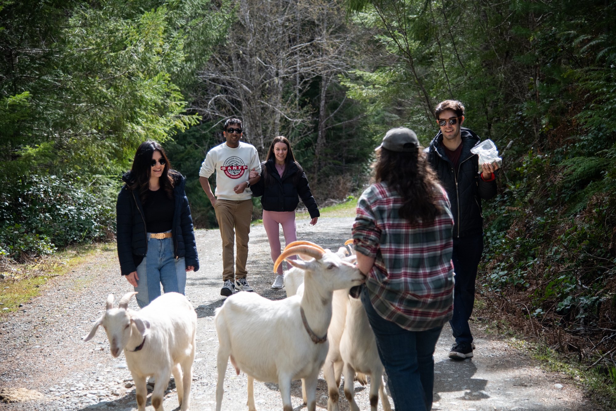 mapleheartranch-goats-038.jpg