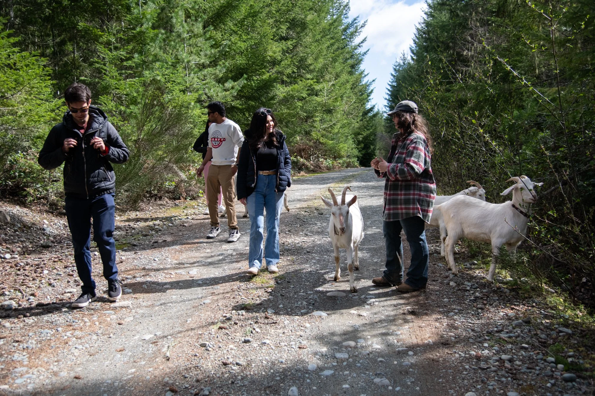 mapleheartranch-goats-060.jpg