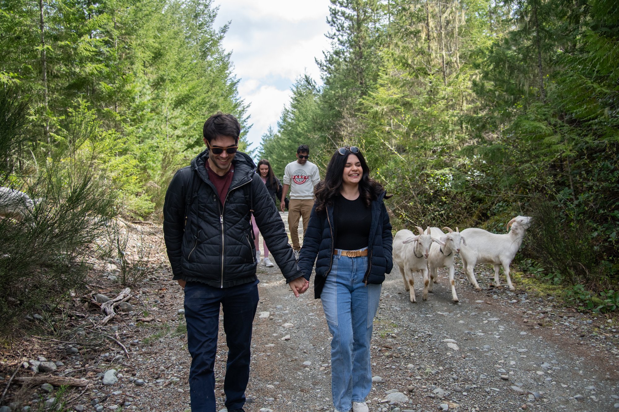 mapleheartranch-goats-063.jpg