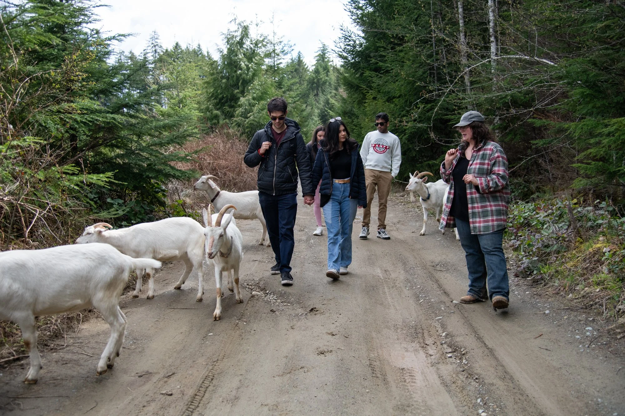 mapleheartranch-goats-080.jpg