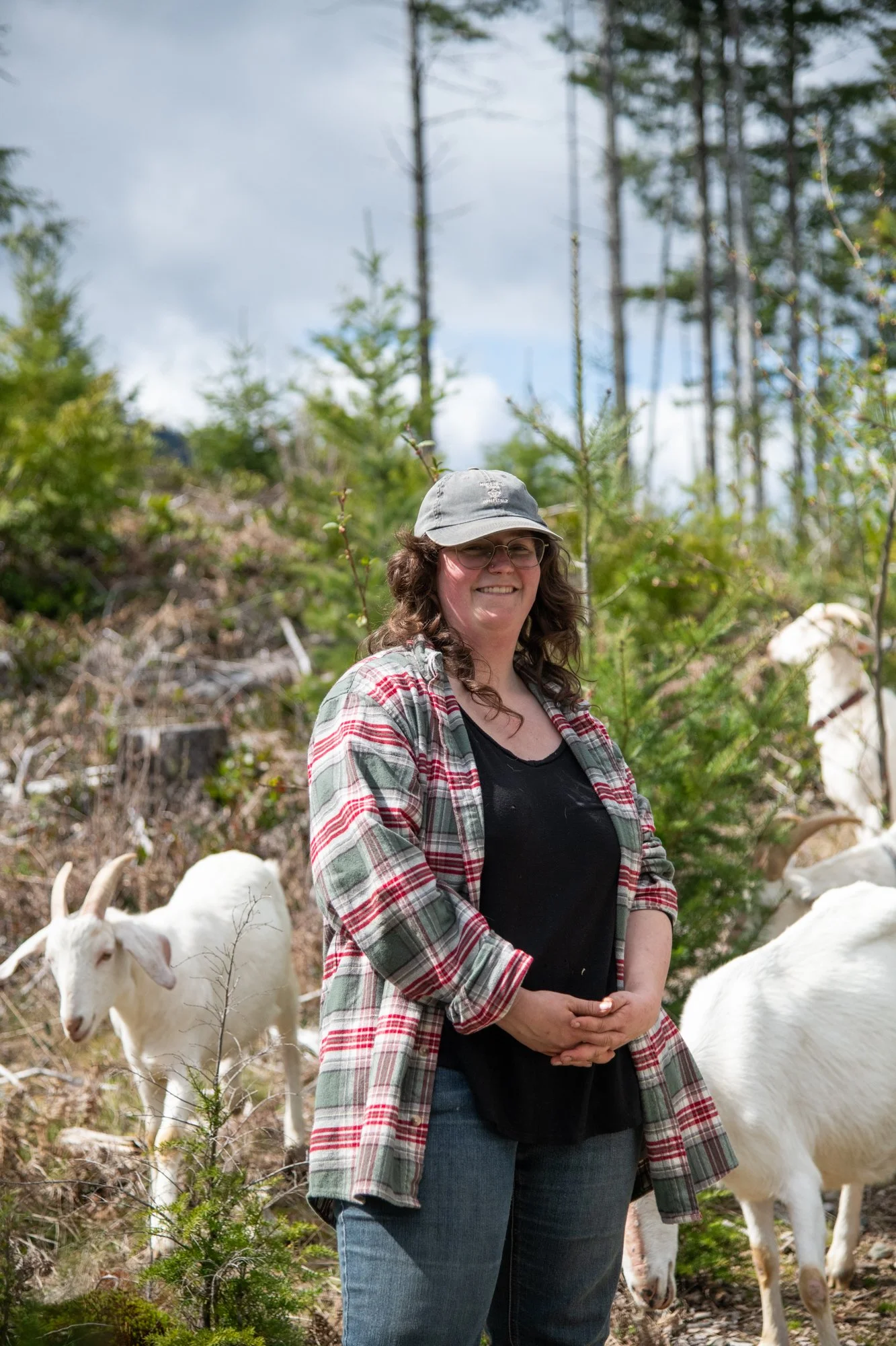 mapleheartranch-goats-119.jpg