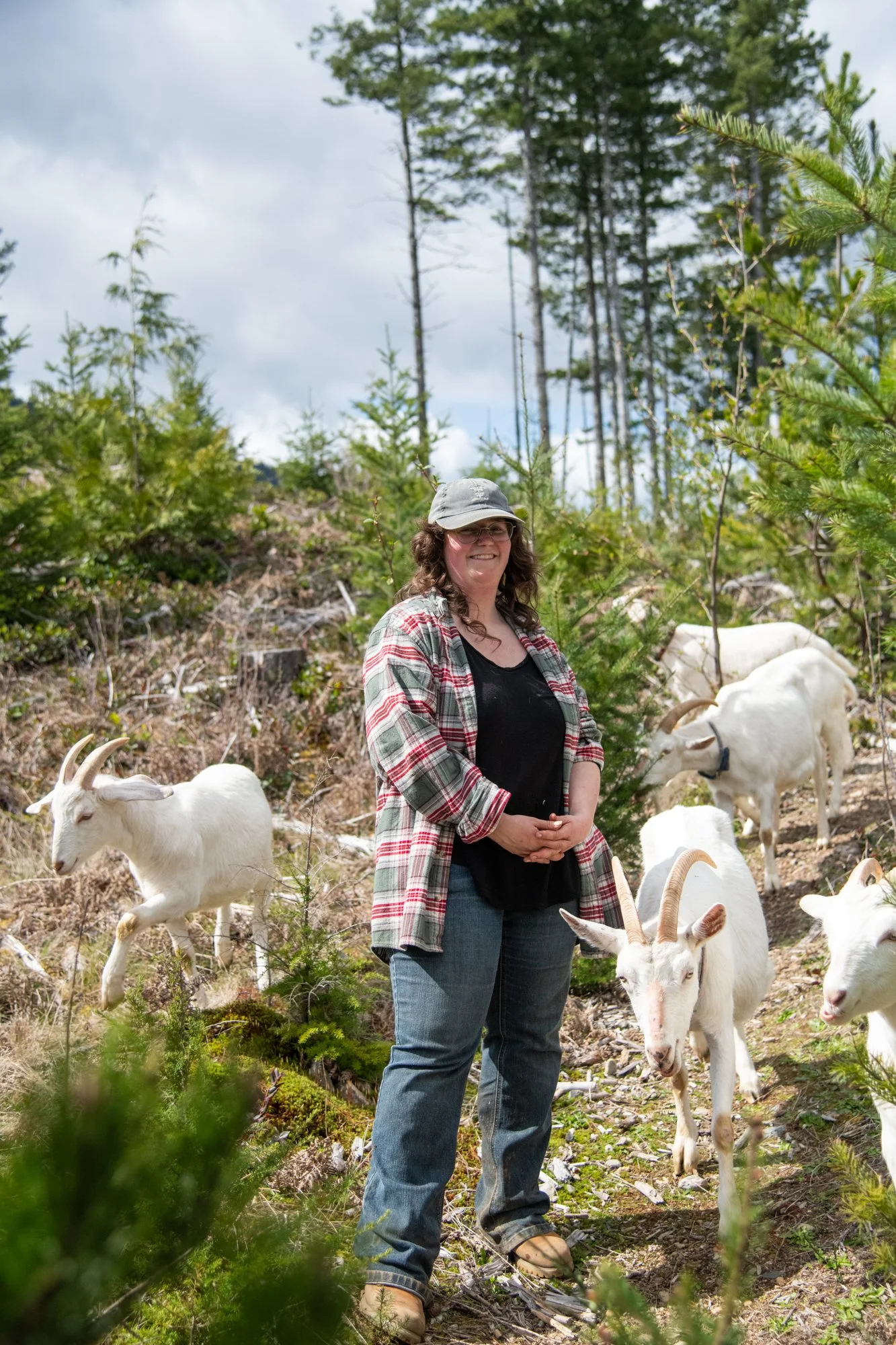 mapleheartranch-goats-121.jpg