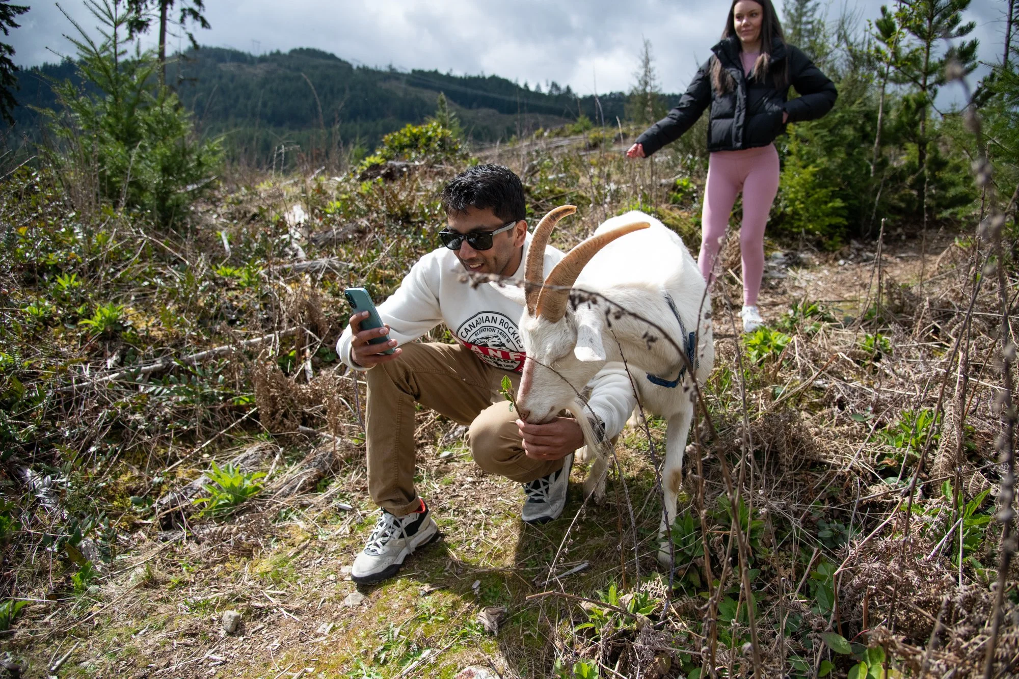 mapleheartranch-goats-133.jpg