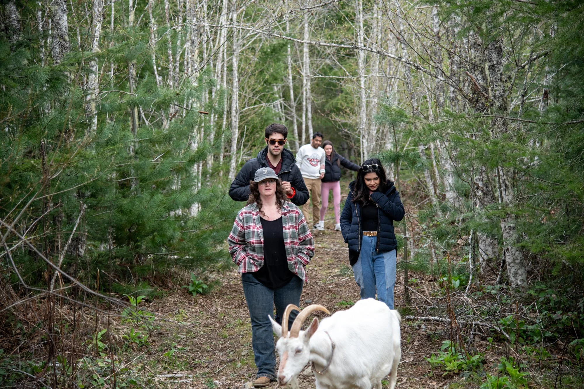 mapleheartranch-goats-145.jpg